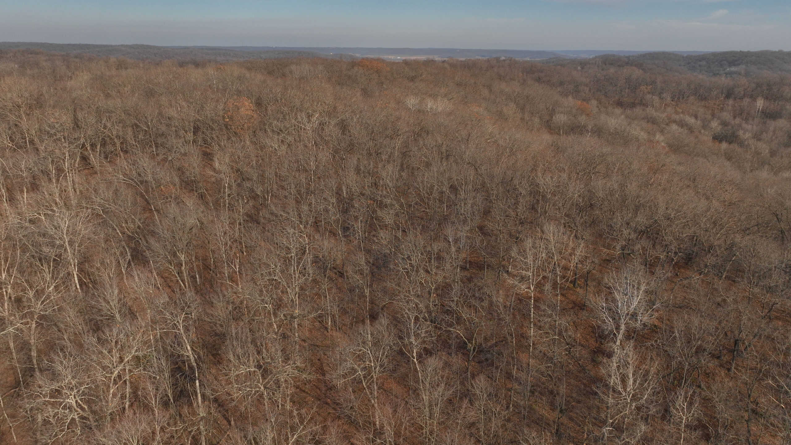 Extraordinary Hunting Land for sale in Richland County, Wisconsin