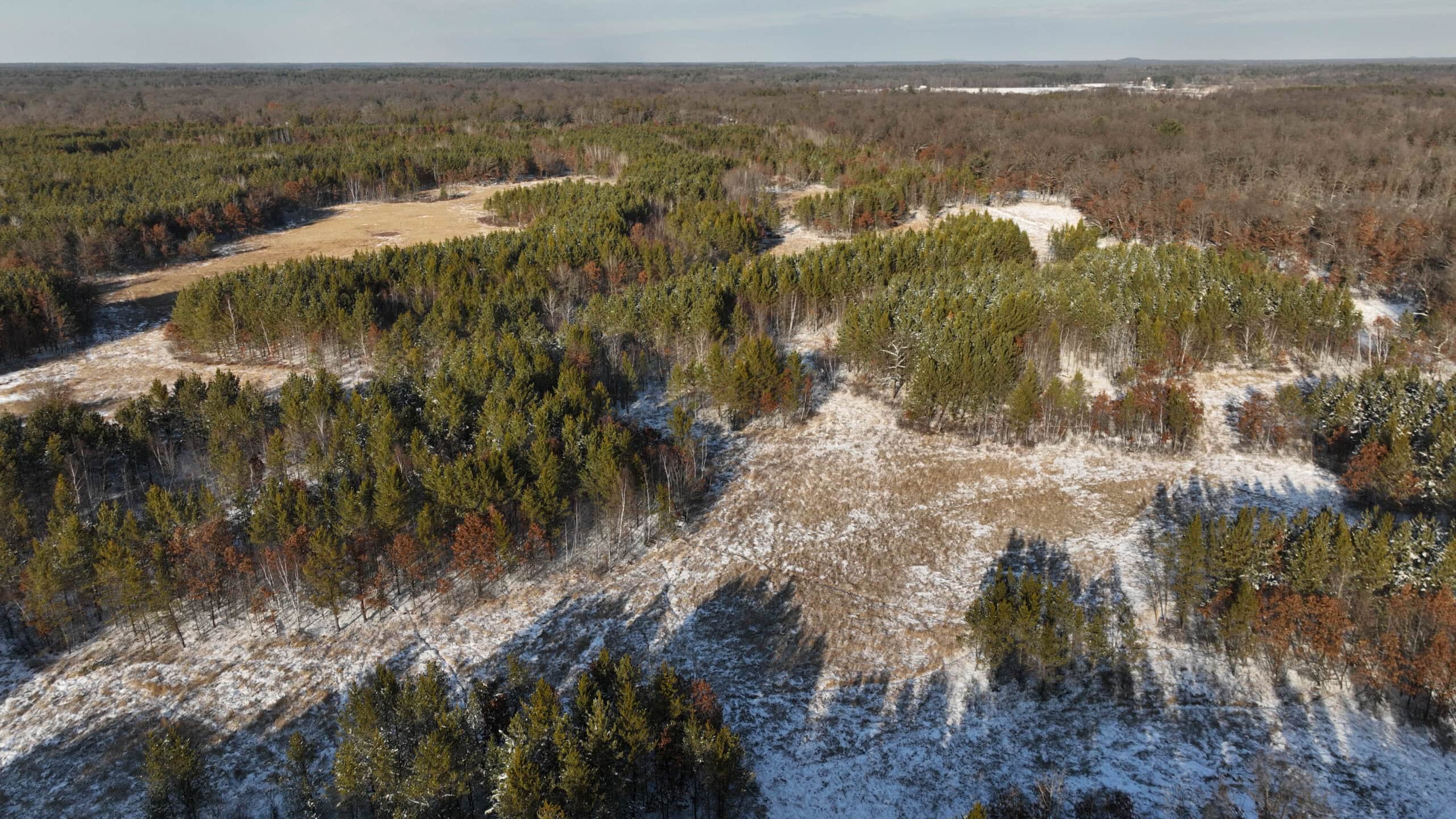 Deer Hunting Land for Sale in Adams County, Wisconsin