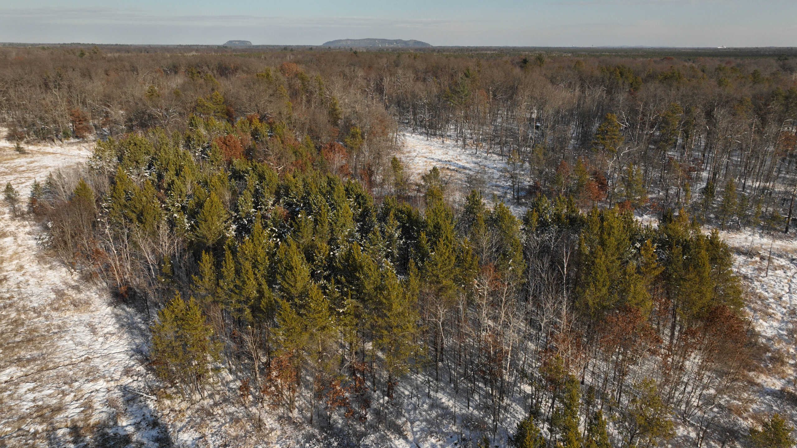 Deer Hunting Land for Sale in Adams County, Wisconsin