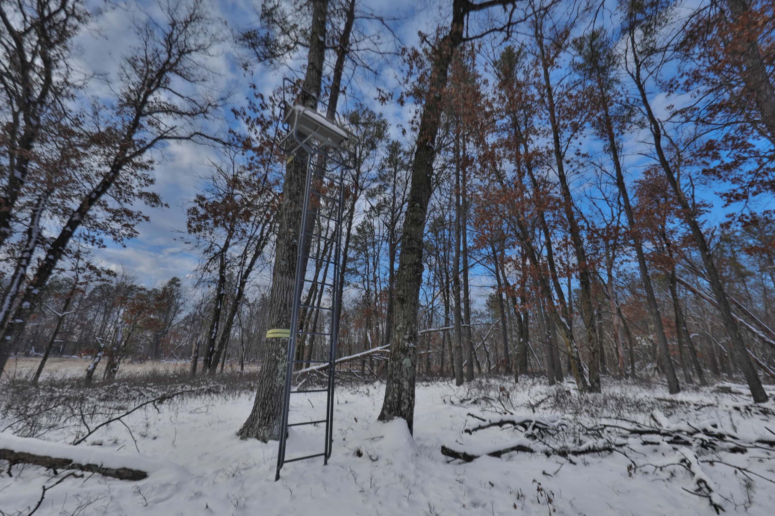Whitetail Property for sale in Adams County, Wisconsin