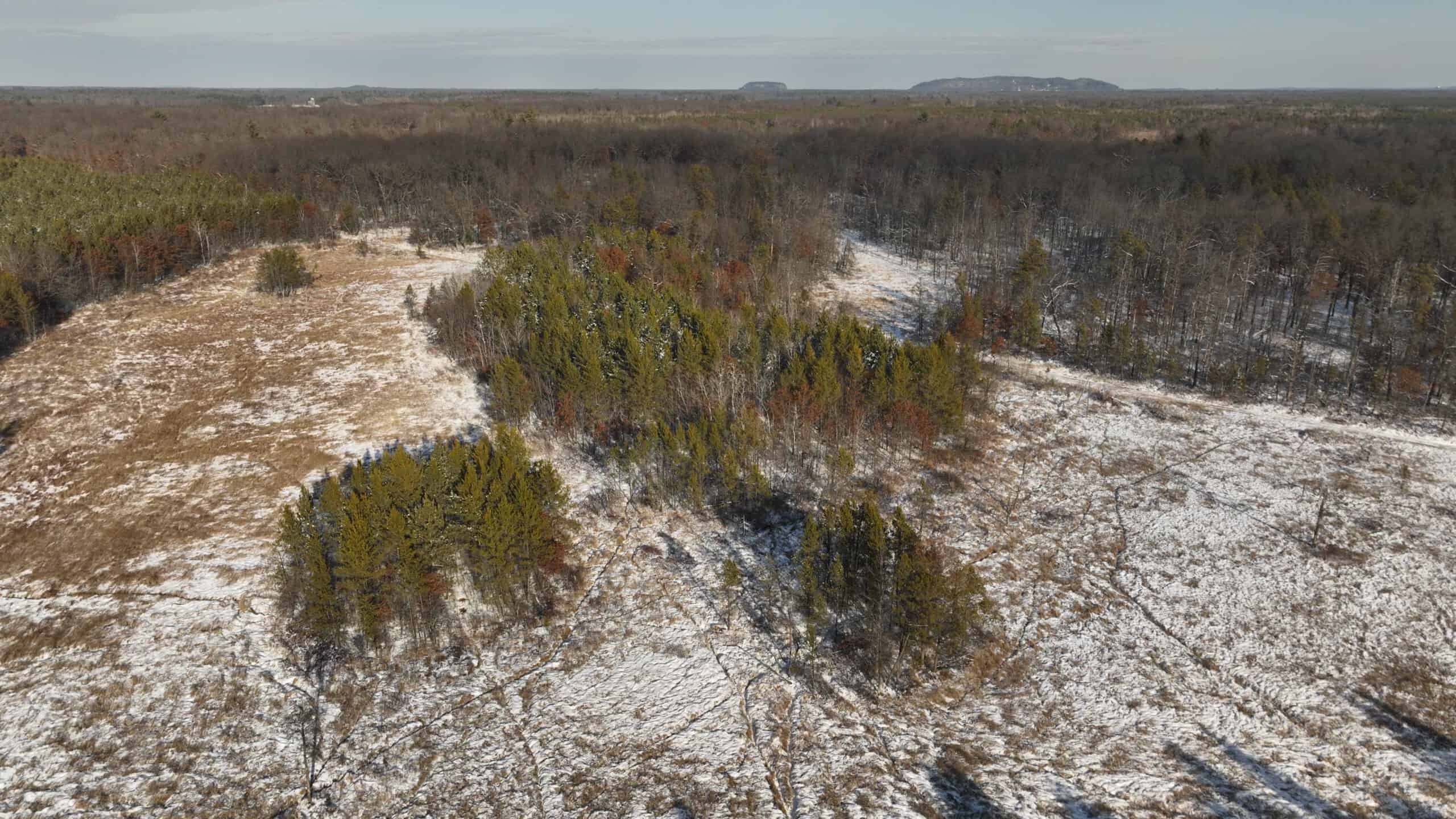 Deer Hunting Land for Sale in Adams County, Wisconsin