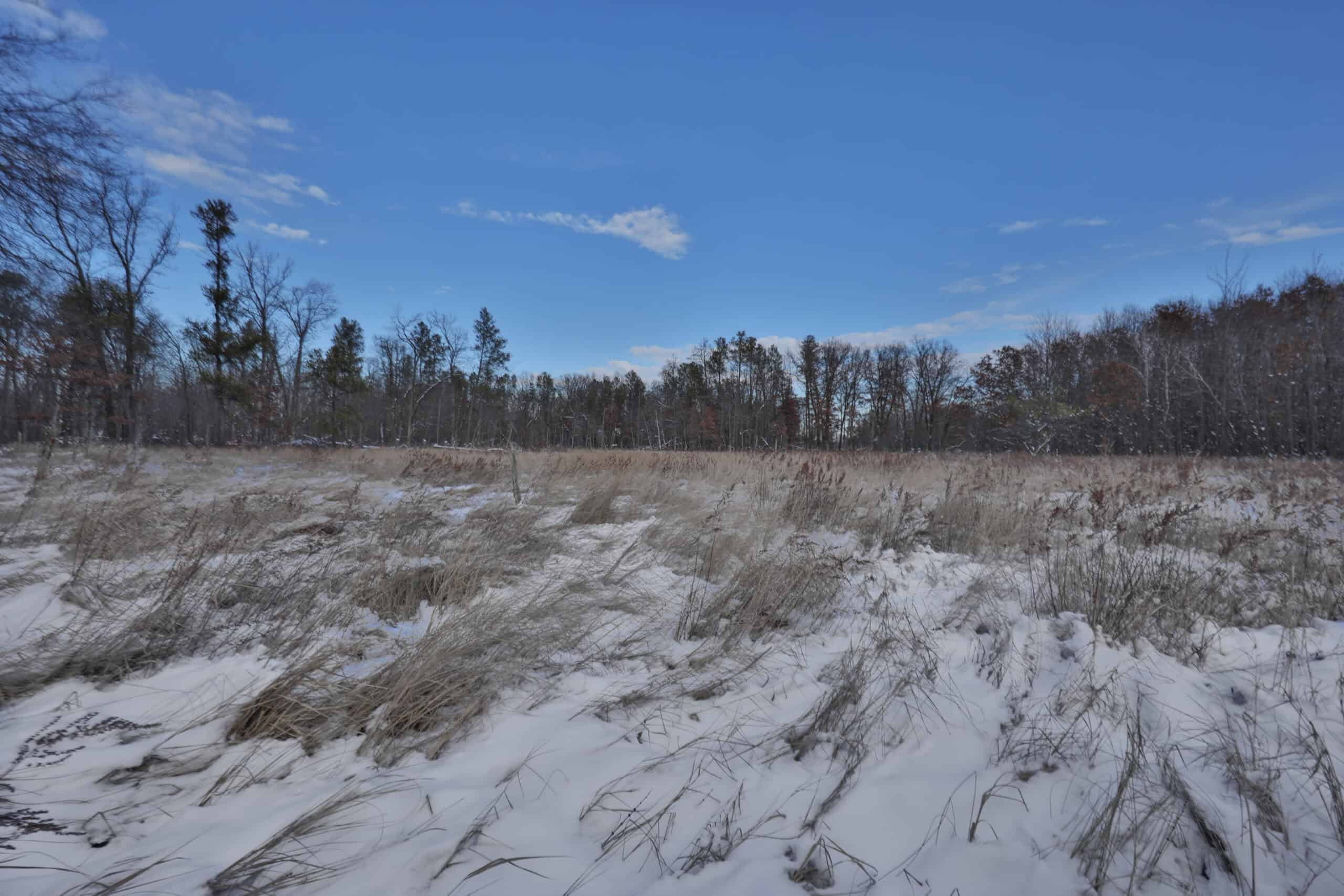Whitetail Property for sale in Adams County, Wisconsin