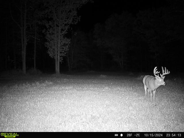 North Woods Hunting Camp for Sale in Rusk County, WI