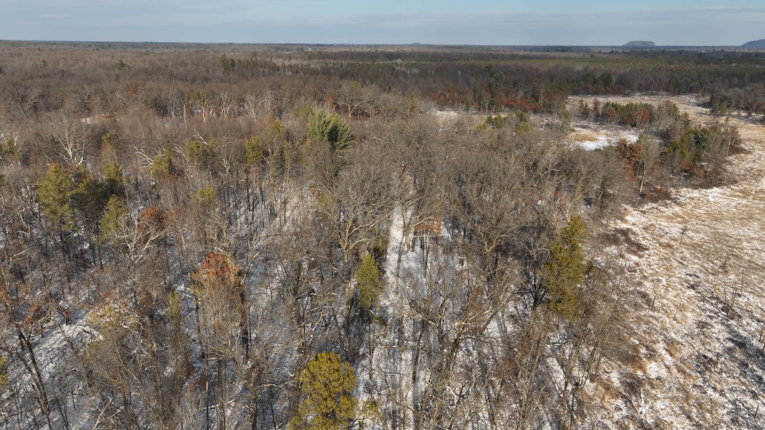 Whitetail Property for sale in Adams County, Wisconsin