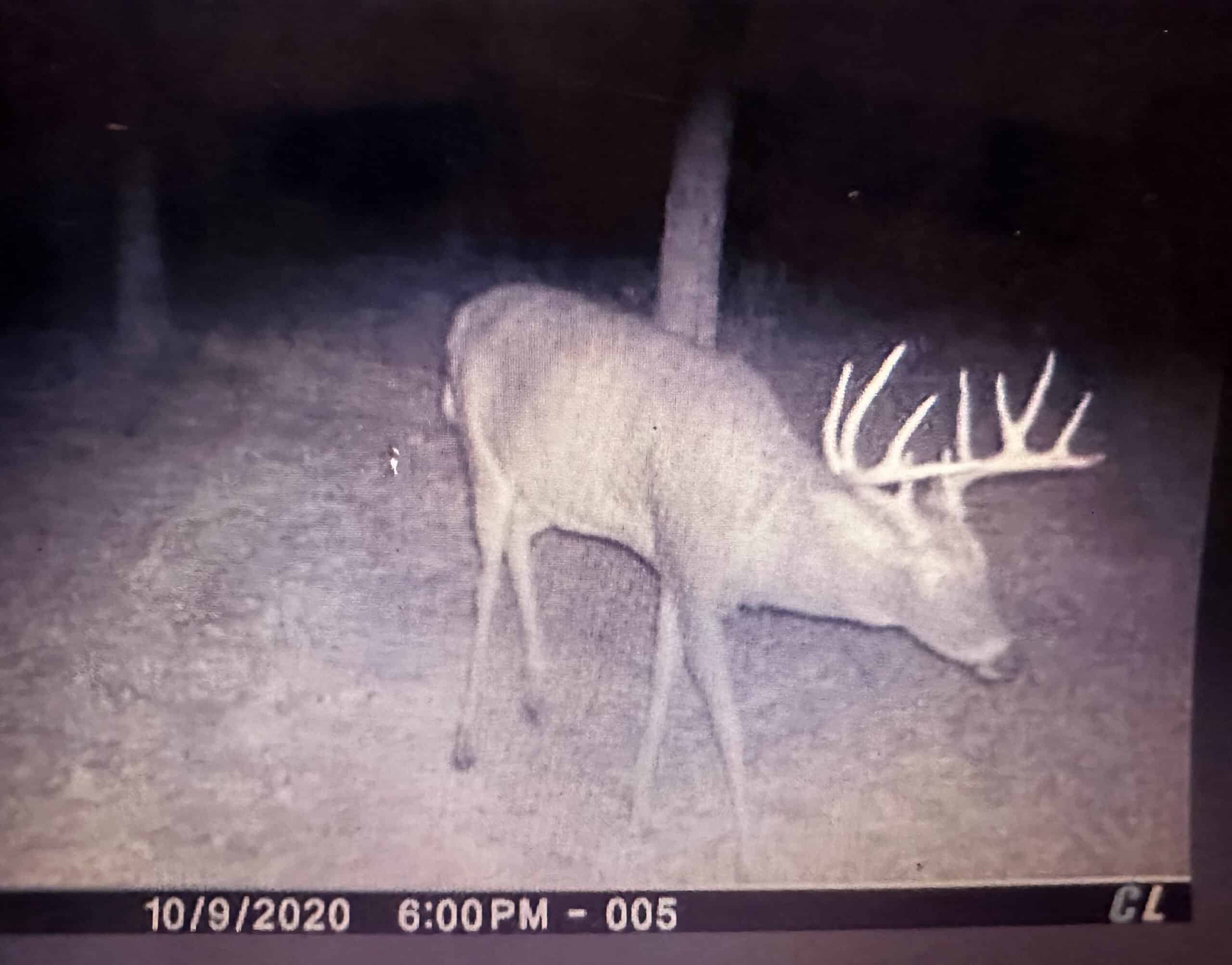 North Woods Hunting Camp for Sale in Rusk County, WI