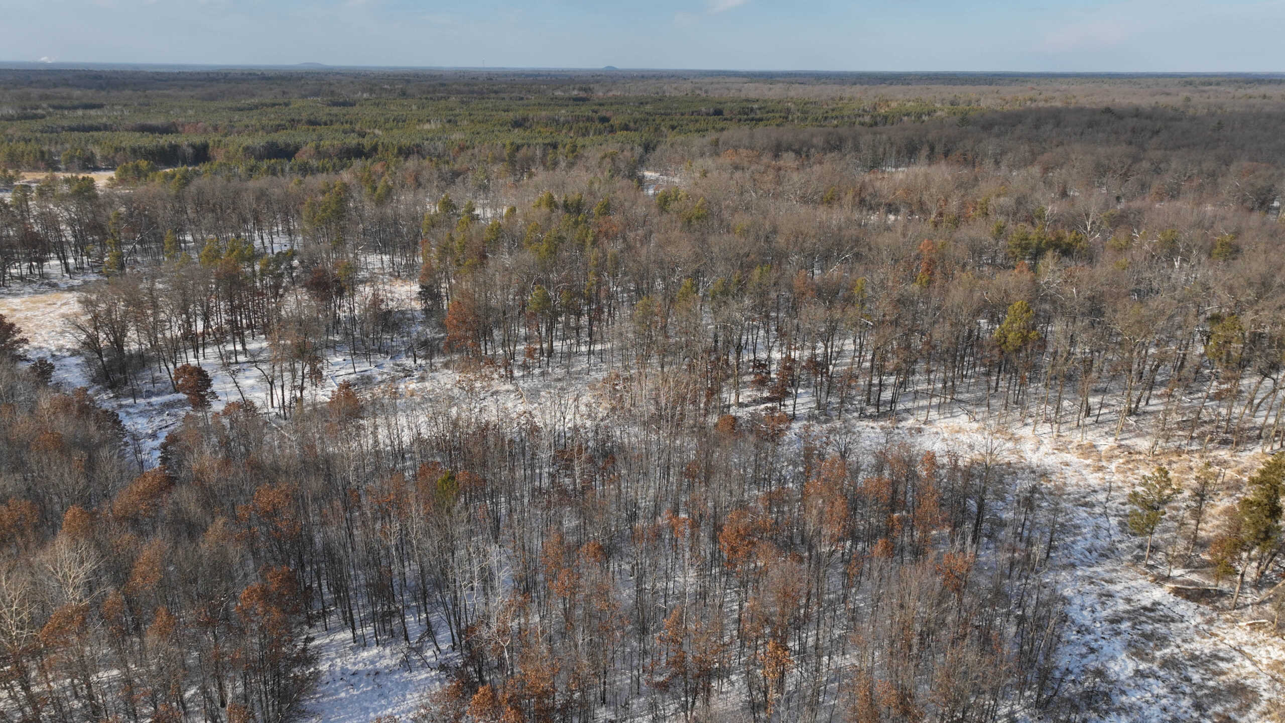 Whitetail Property for sale in Adams County, Wisconsin