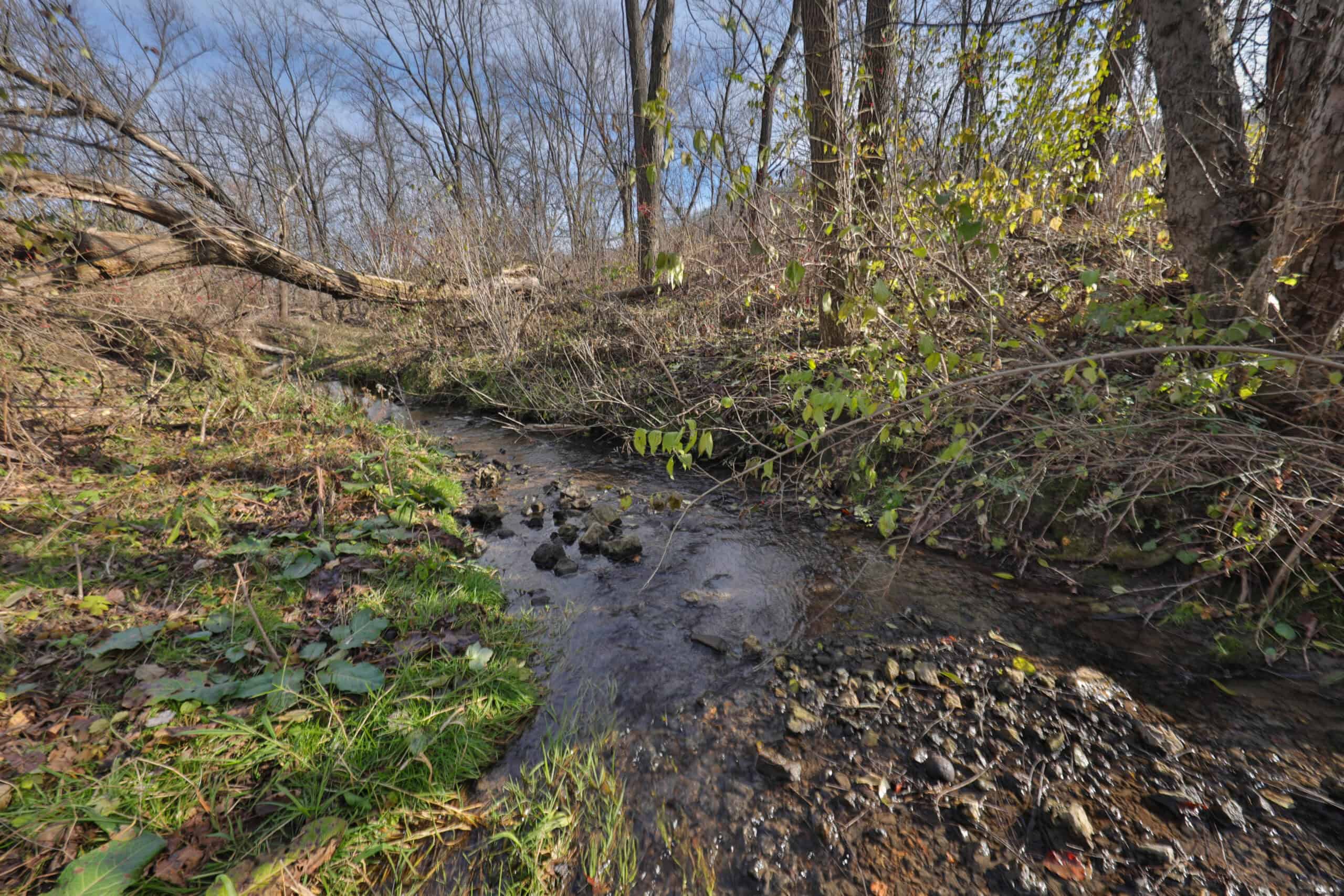 Premium Hunting Land with Cabin for sale in Southwest Wisconsin