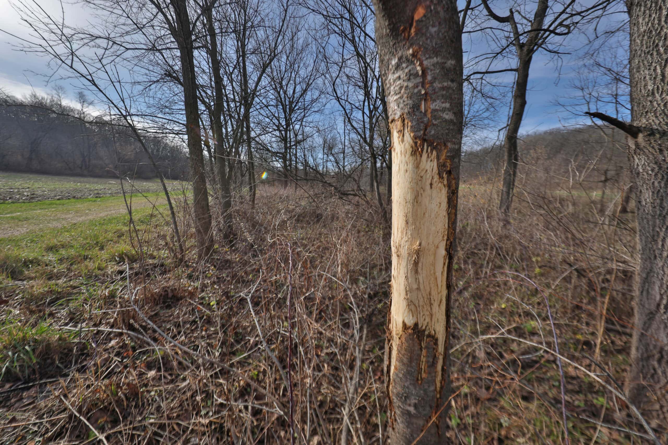 Hunting Camp for Sale in Southwest Wisconsin
