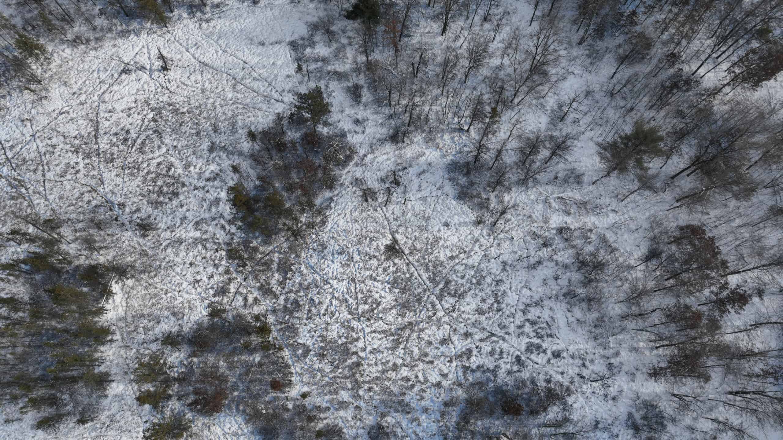 Whitetail Property for sale in Adams County, Wisconsin