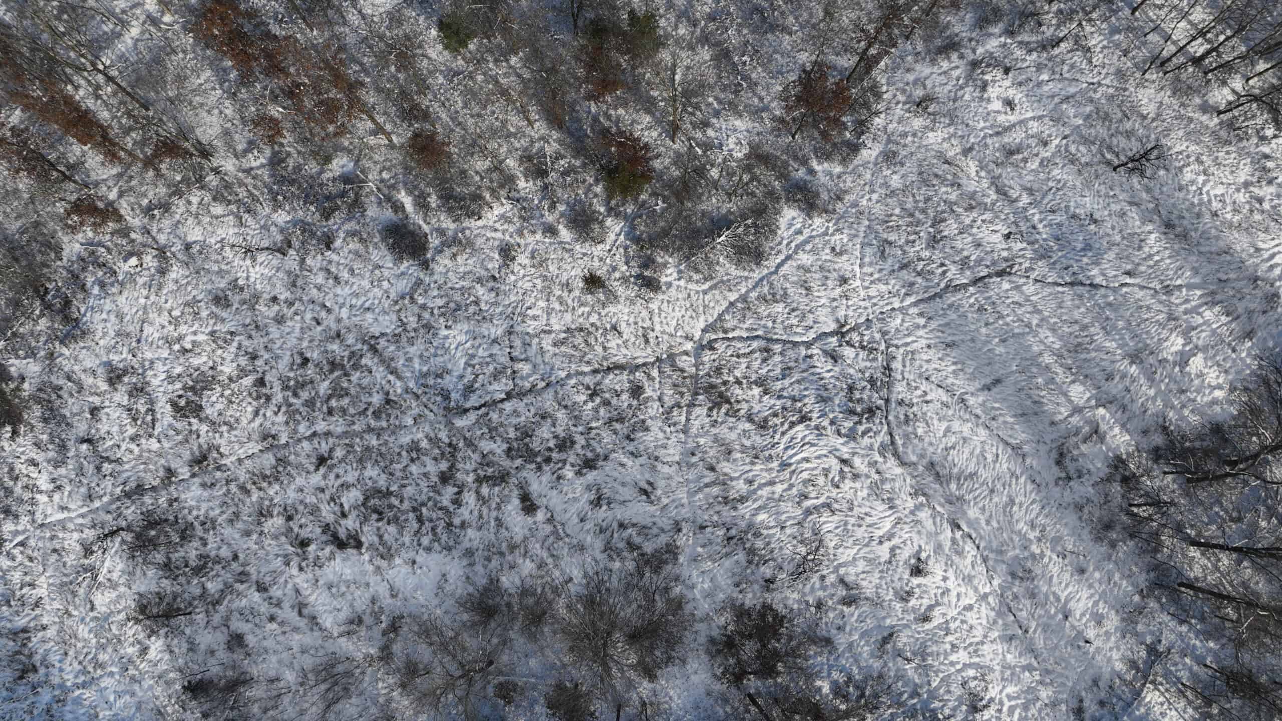 Whitetail Property for sale in Adams County, Wisconsin