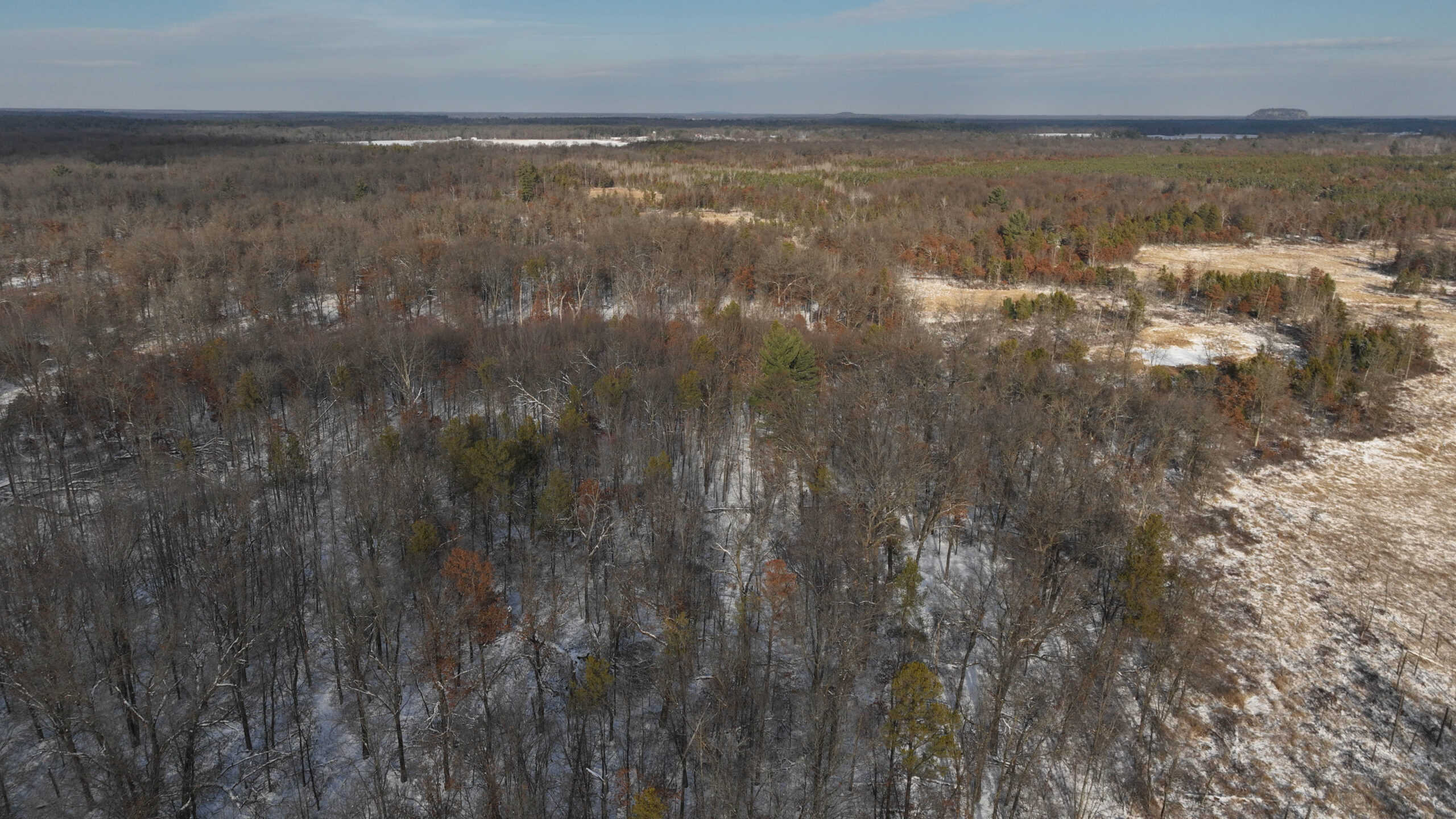 Whitetail Property for sale in Adams County, Wisconsin