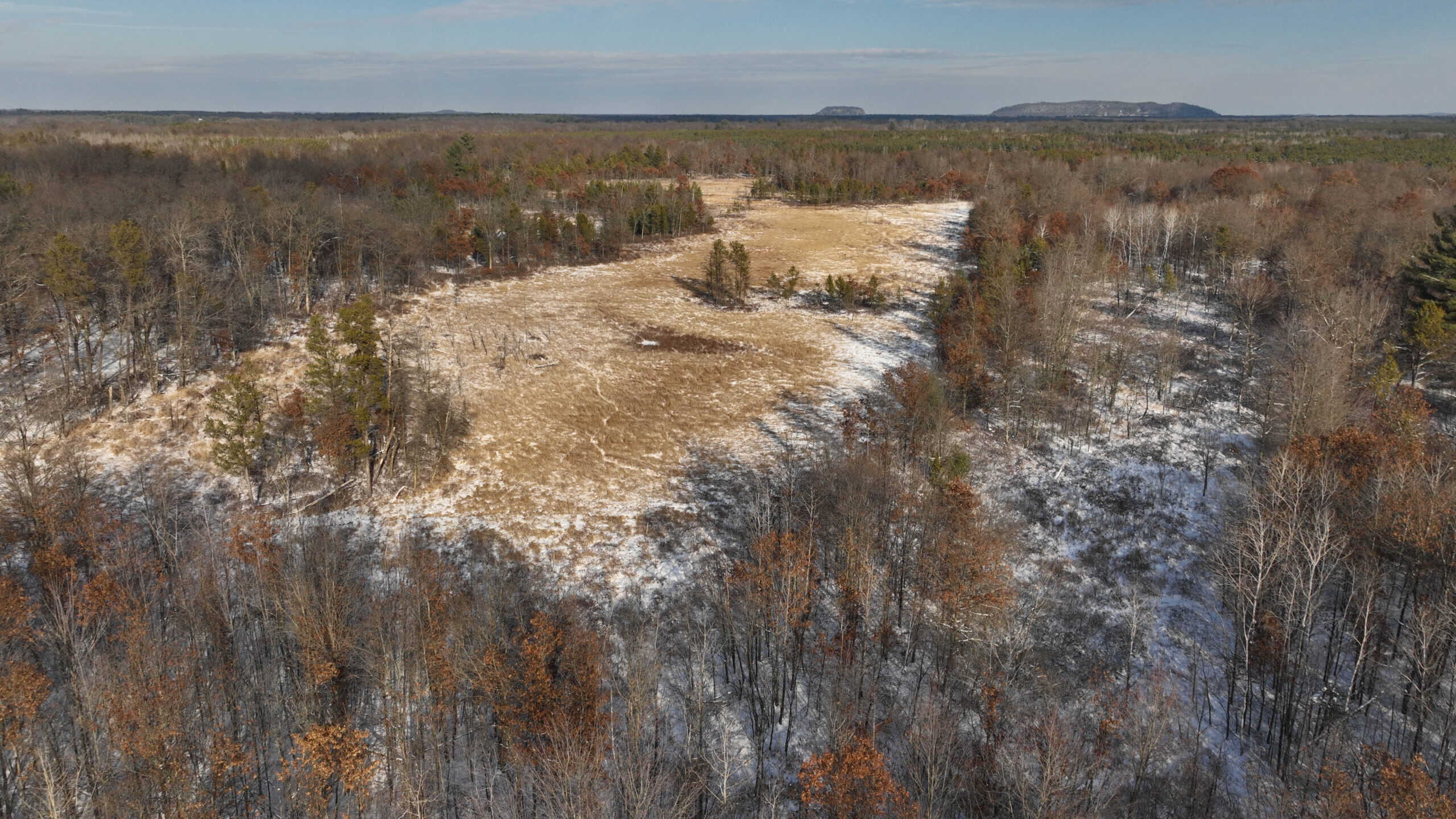 Hunting Land for Sale in South Central Wisconsin
