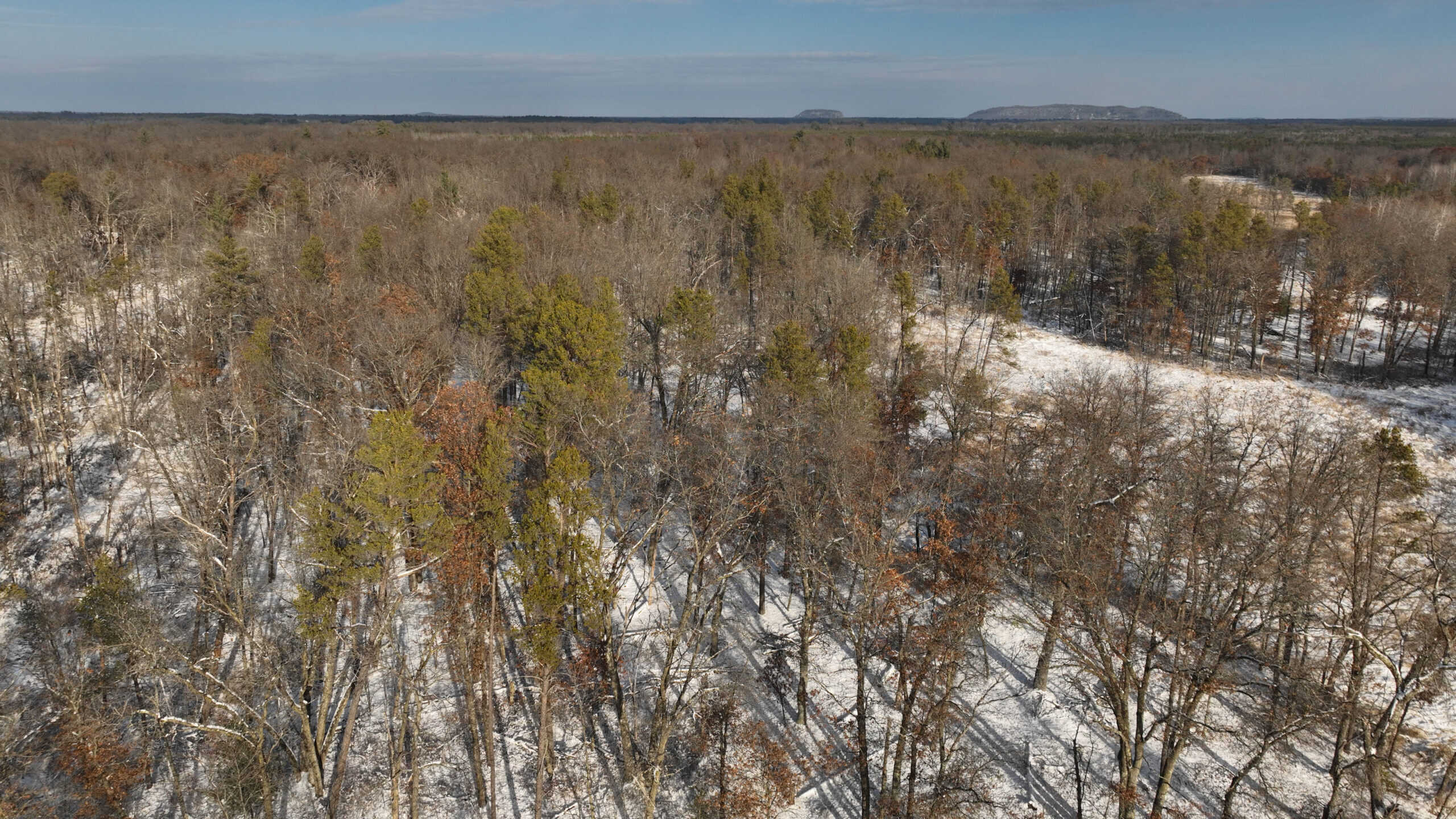 Whitetail Property for sale in Adams County, Wisconsin