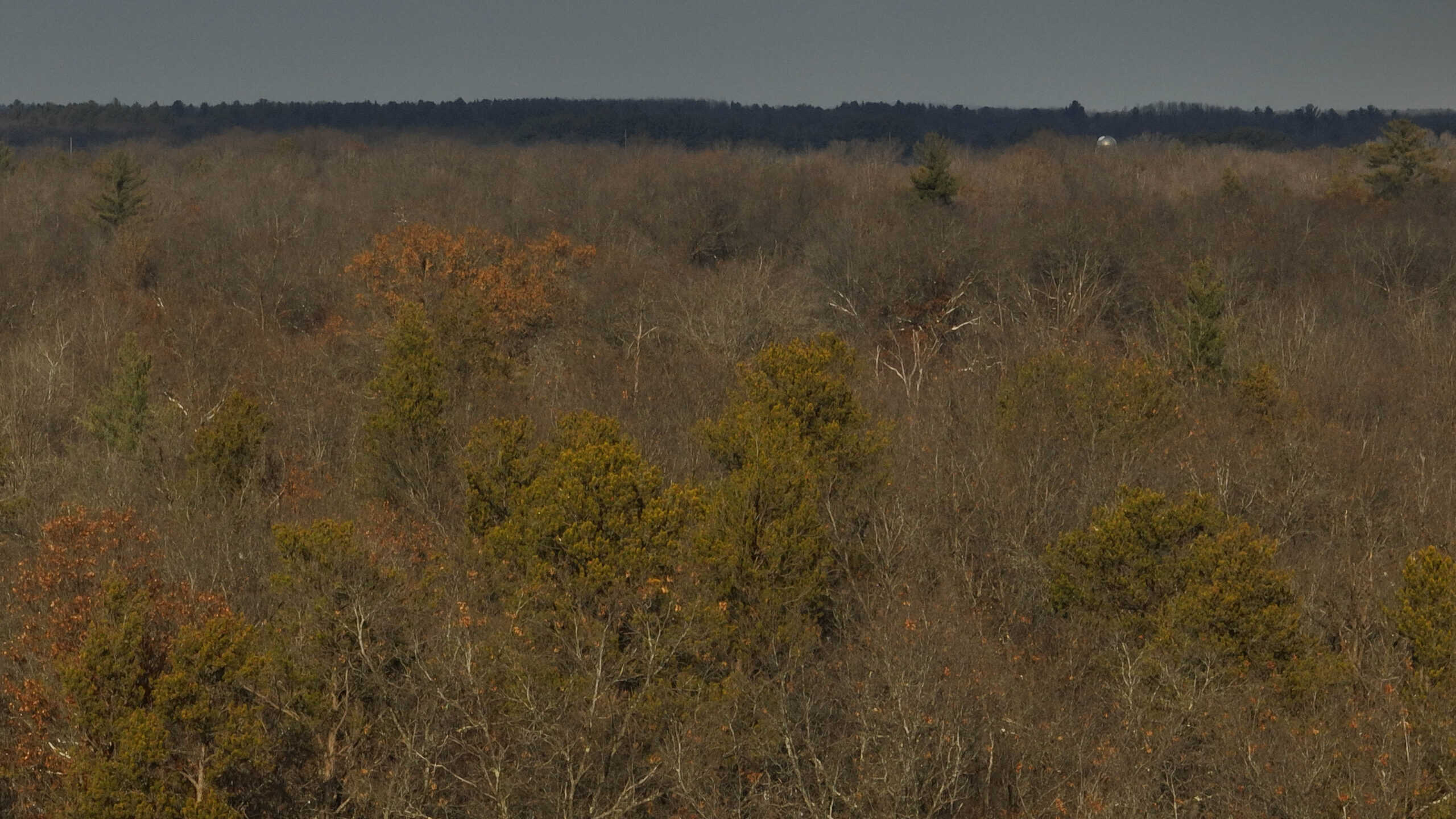 Whitetail Property for sale in Adams County, Wisconsin