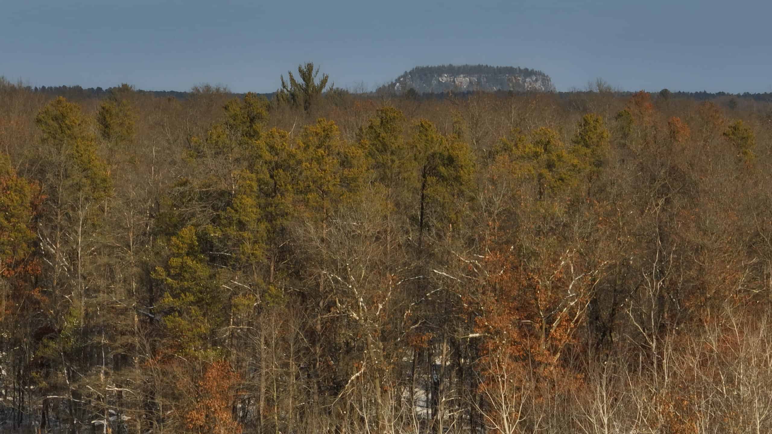Whitetail Property for sale in Adams County, Wisconsin