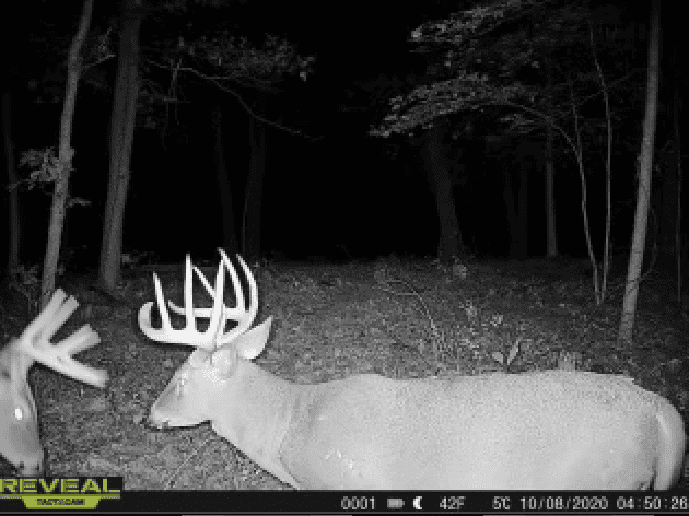Charming Country Home with Trophy Whitetail Hunting in Juneau County, WI