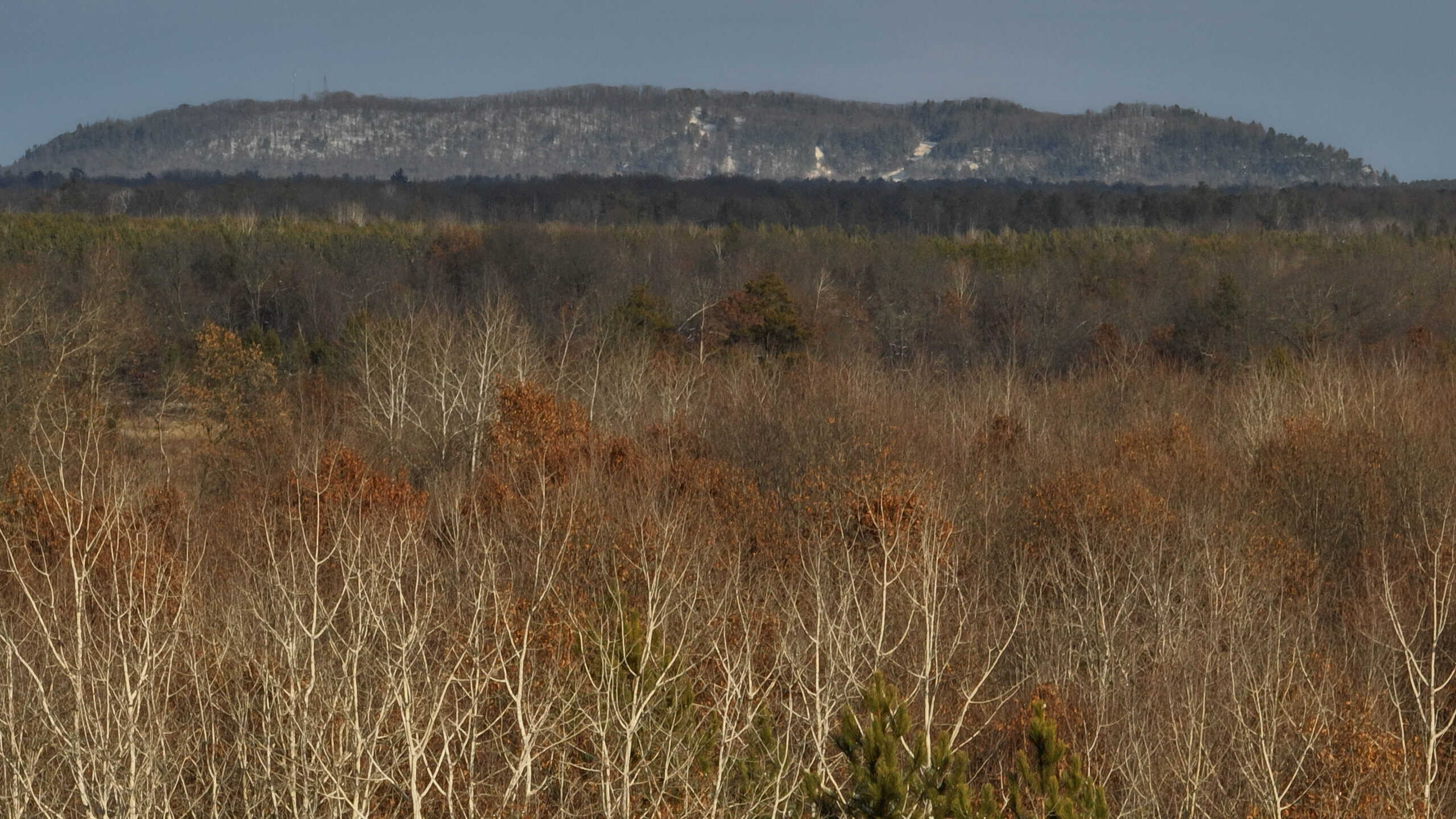 Hunting Land for Sale in South Central Wisconsin