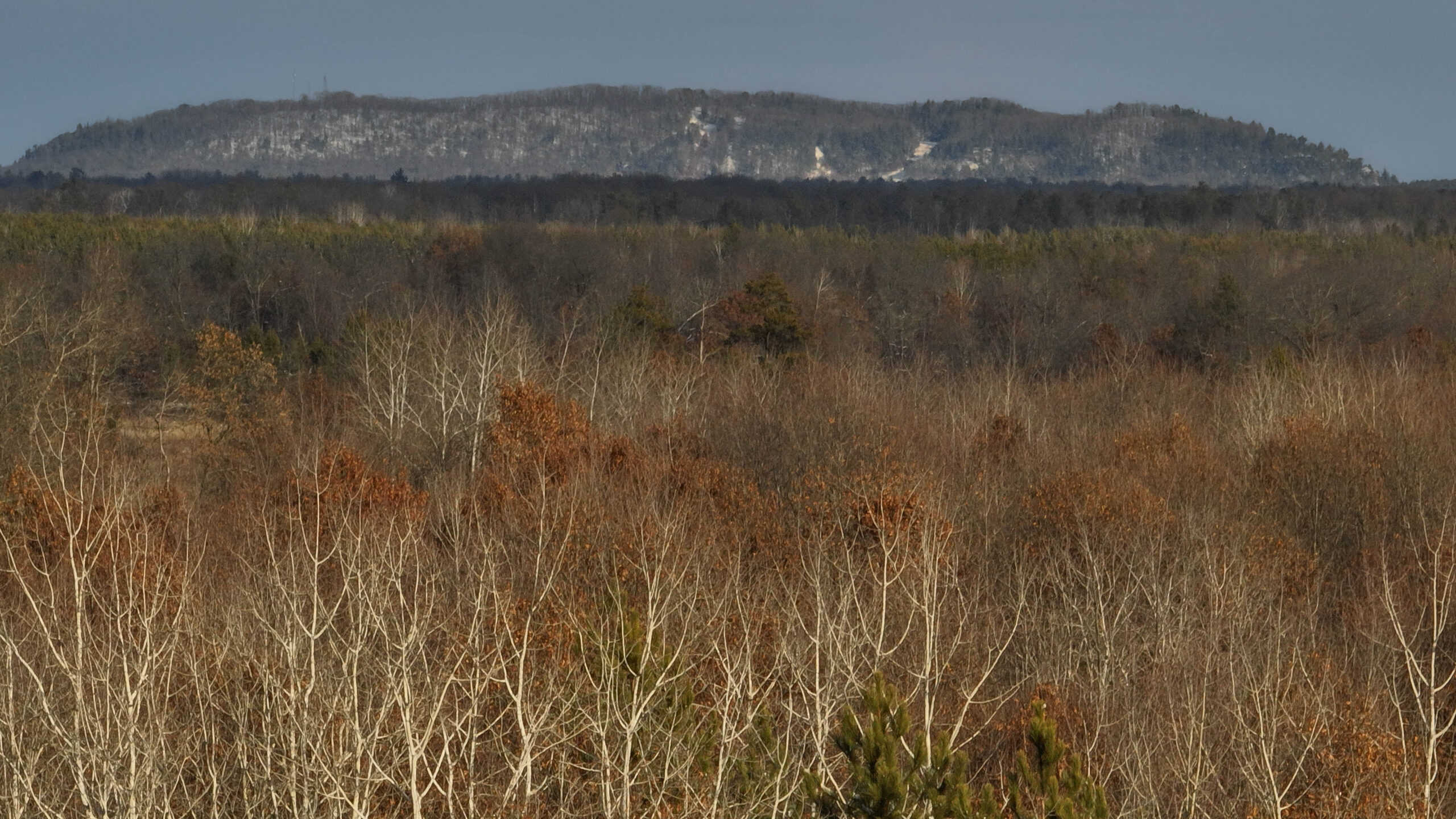 Whitetail Property for sale in Adams County, Wisconsin