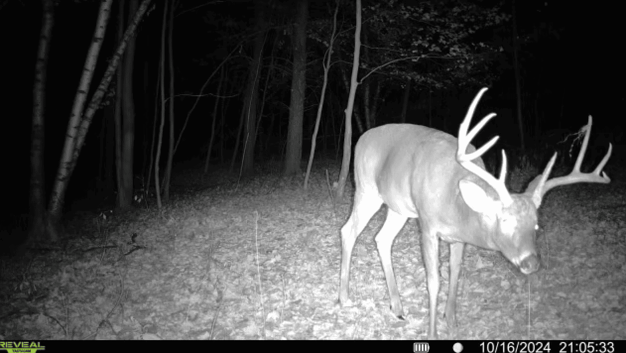 Charming Country Home with Trophy Whitetail Hunting in Juneau County, WI