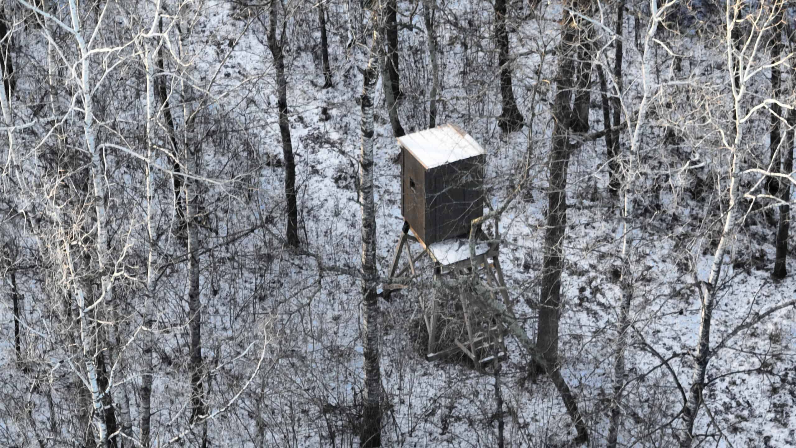 North Woods Hunting Camp for Sale in Rusk County, WI