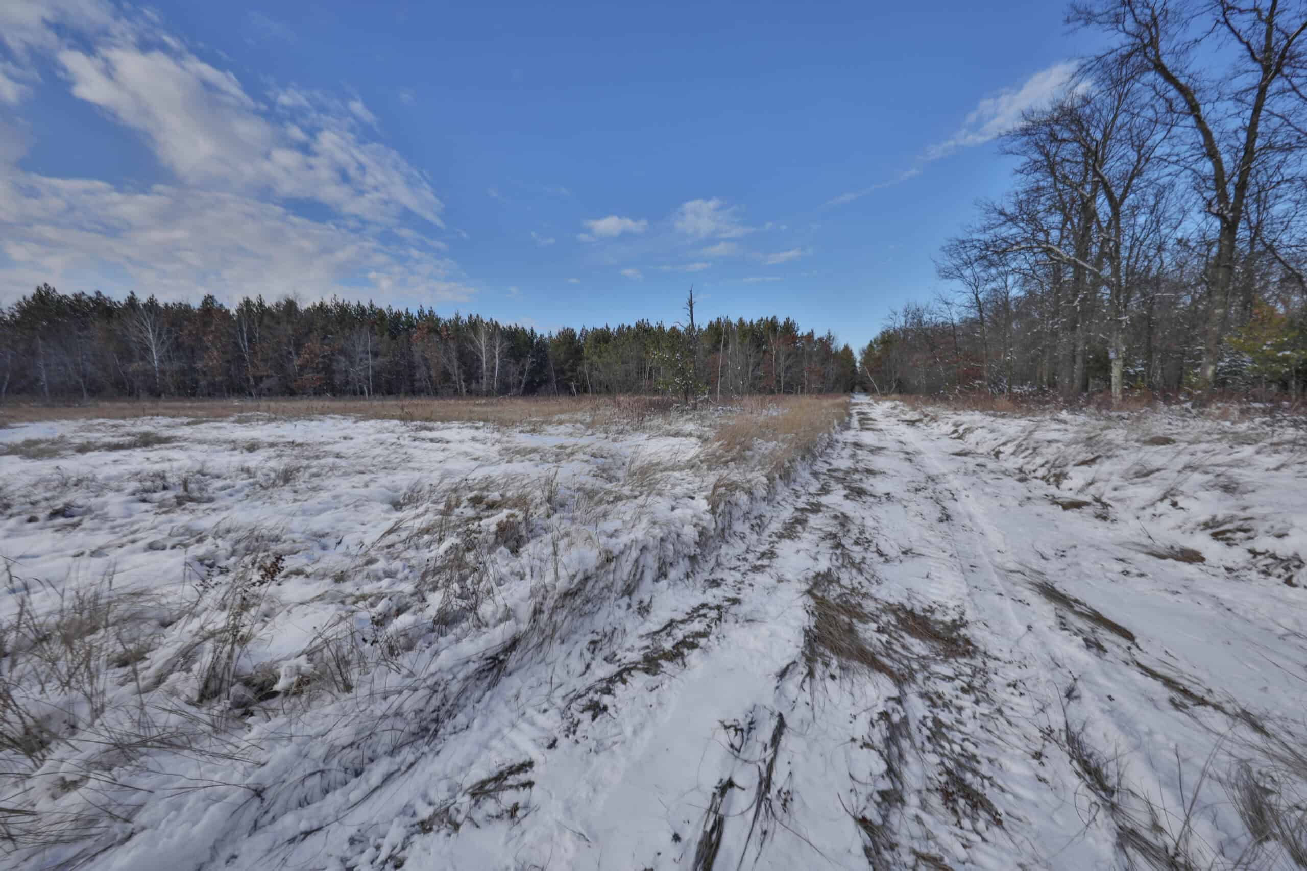 Whitetail Property for sale in Adams County, Wisconsin
