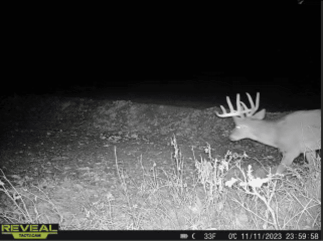Charming Country Home with Trophy Whitetail Hunting in Juneau County, WI