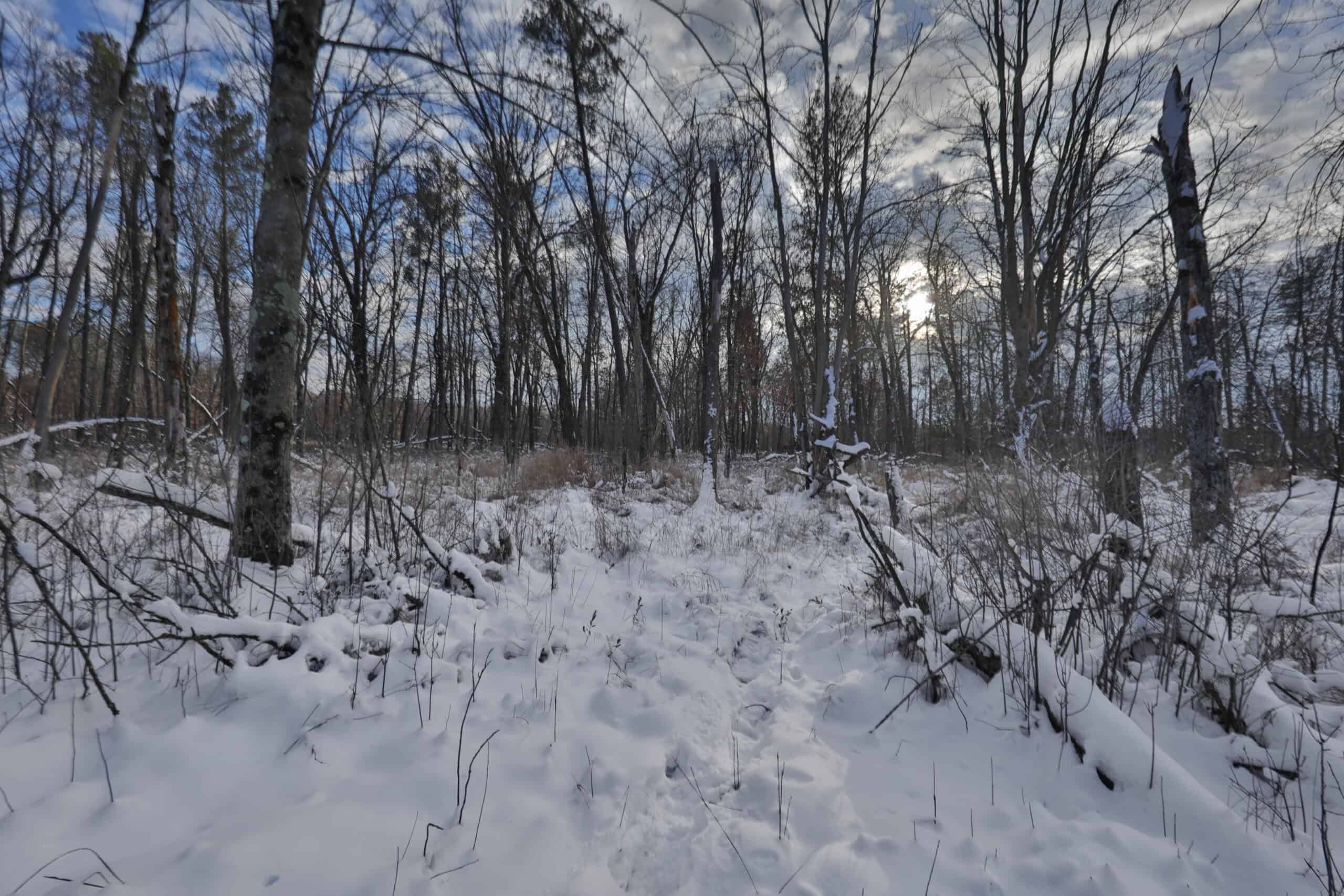 Whitetail Property for sale in Adams County, Wisconsin