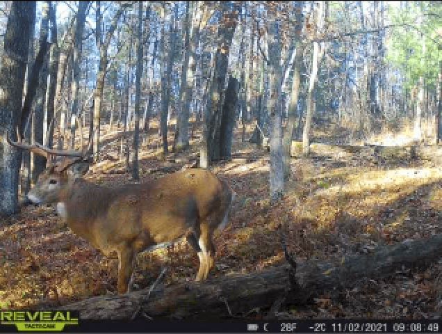 Charming Country Home with Trophy Whitetail Hunting in Juneau County, WI
