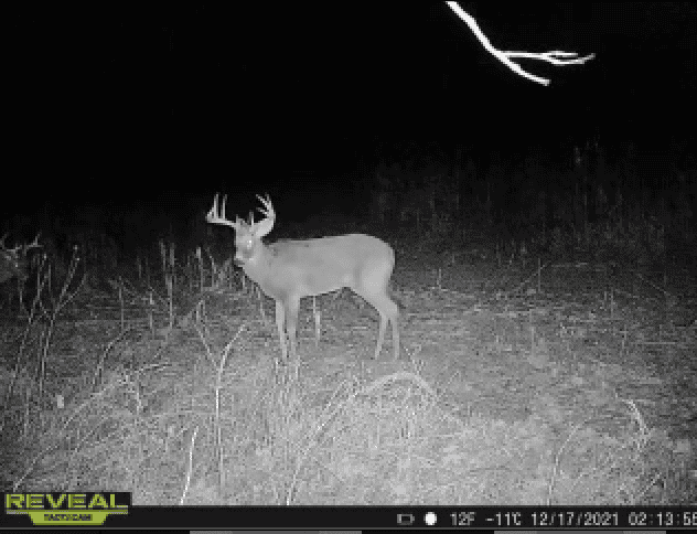 Charming Country Home with Trophy Whitetail Hunting in Juneau County, WI