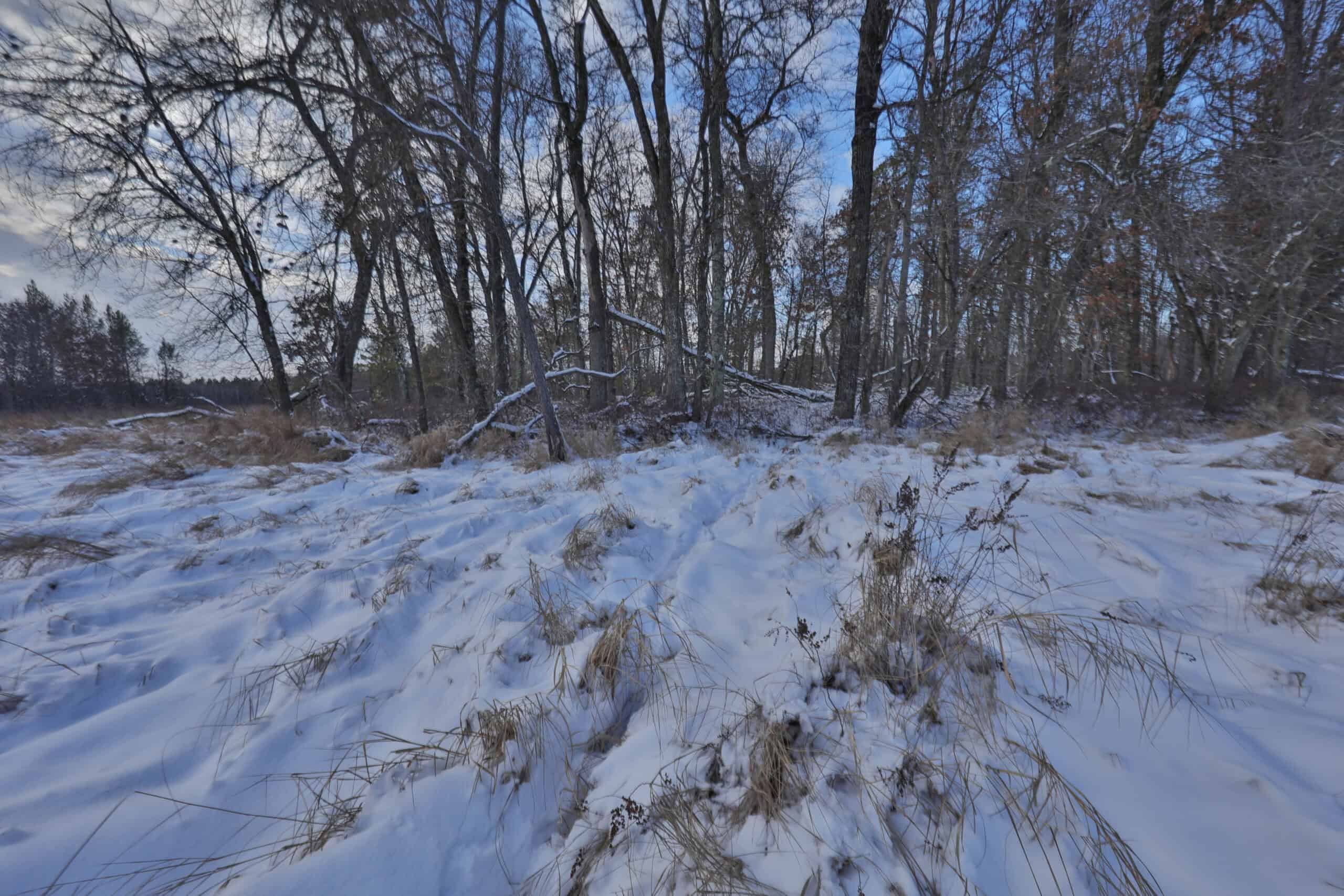 Whitetail Property for sale in Adams County, Wisconsin