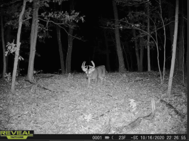 Charming Country Home with Trophy Whitetail Hunting in Juneau County, WI