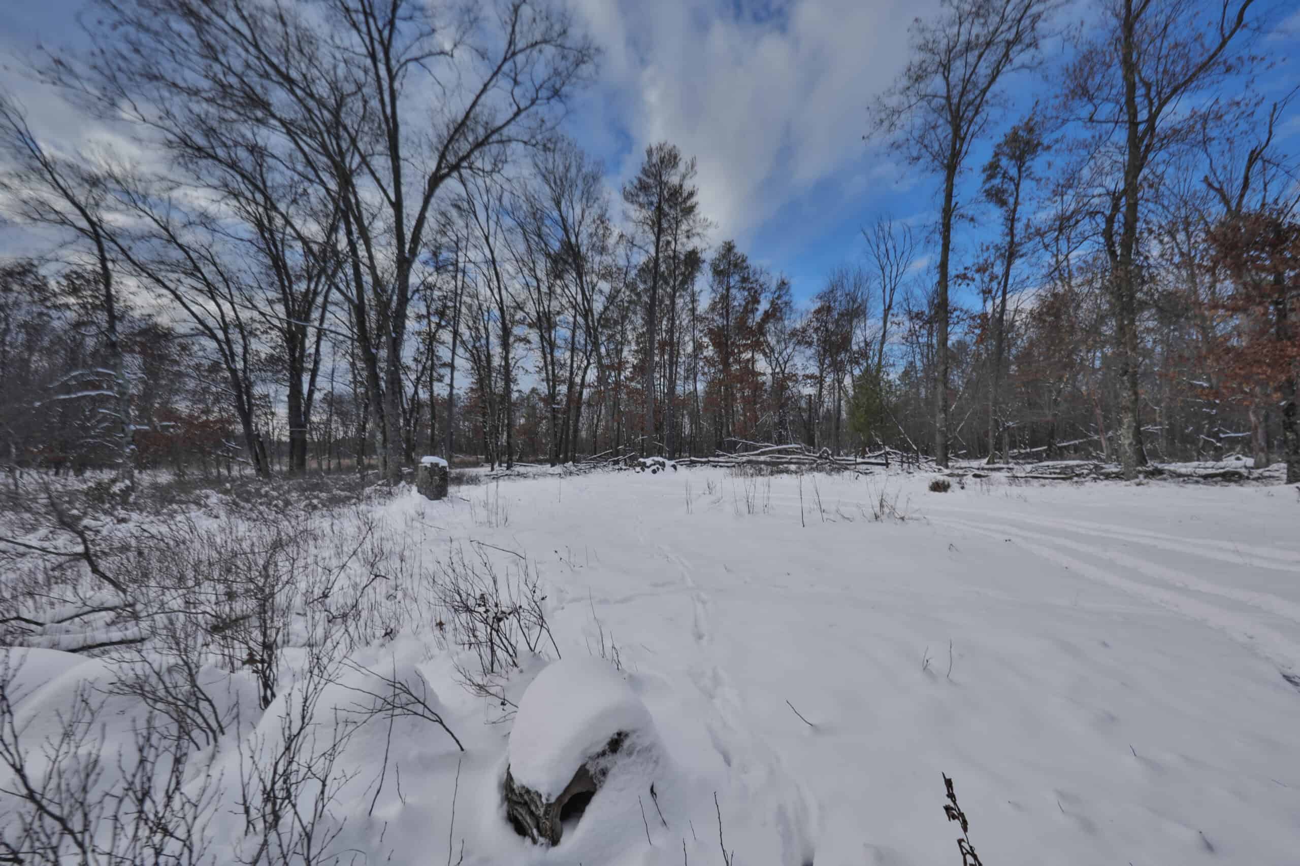 Whitetail Property for sale in Adams County, Wisconsin