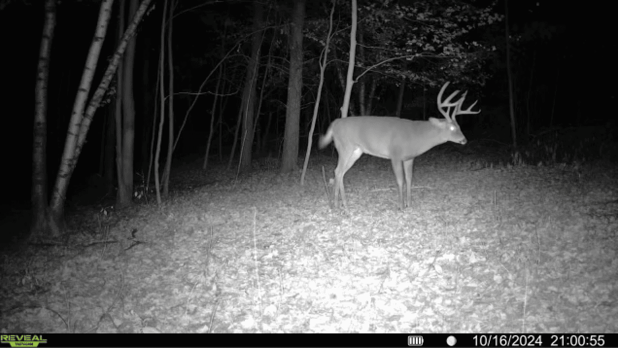 Charming Country Home with Trophy Whitetail Hunting in Juneau County, WI