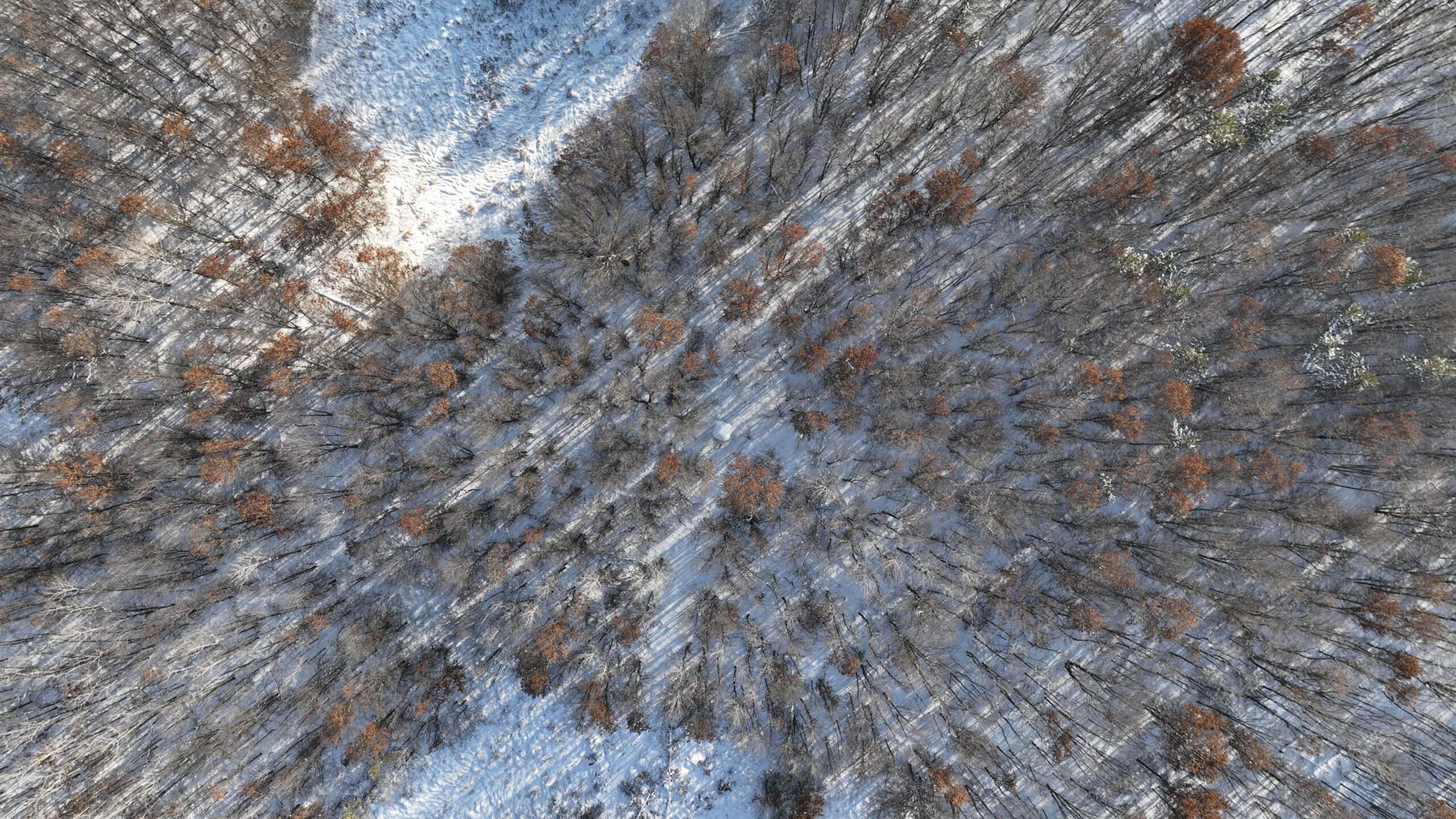Whitetail Property for sale in Adams County, Wisconsin