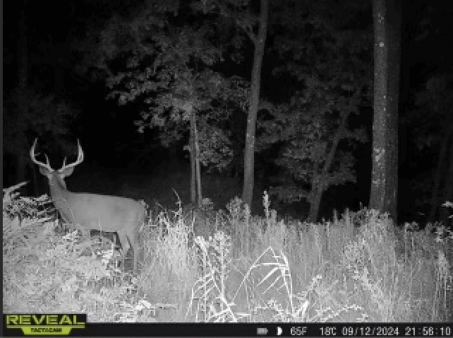 Charming Country Home with Trophy Whitetail Hunting in Juneau County, WI