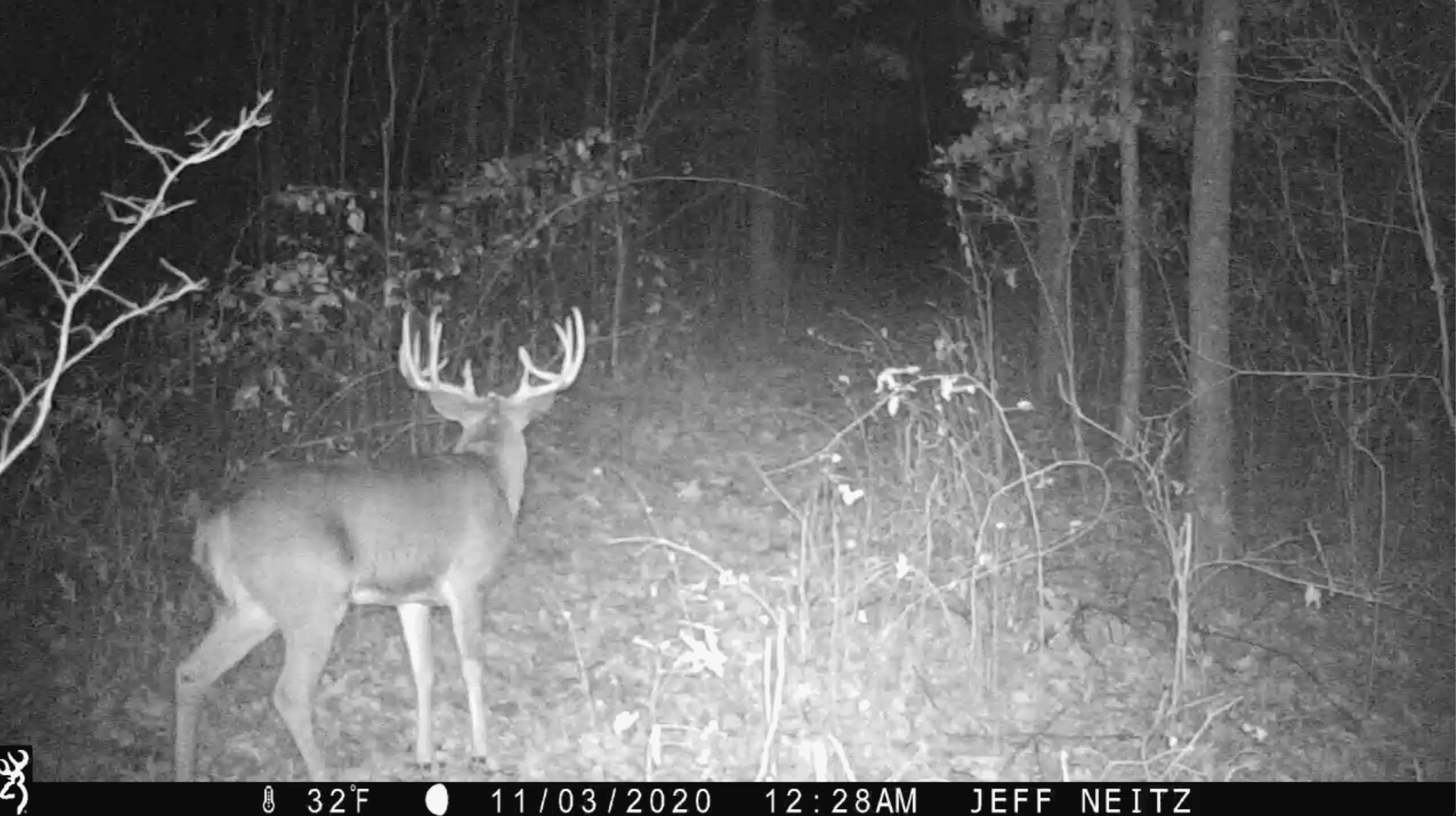 Charming Country Home with Trophy Whitetail Hunting in Juneau County, WI