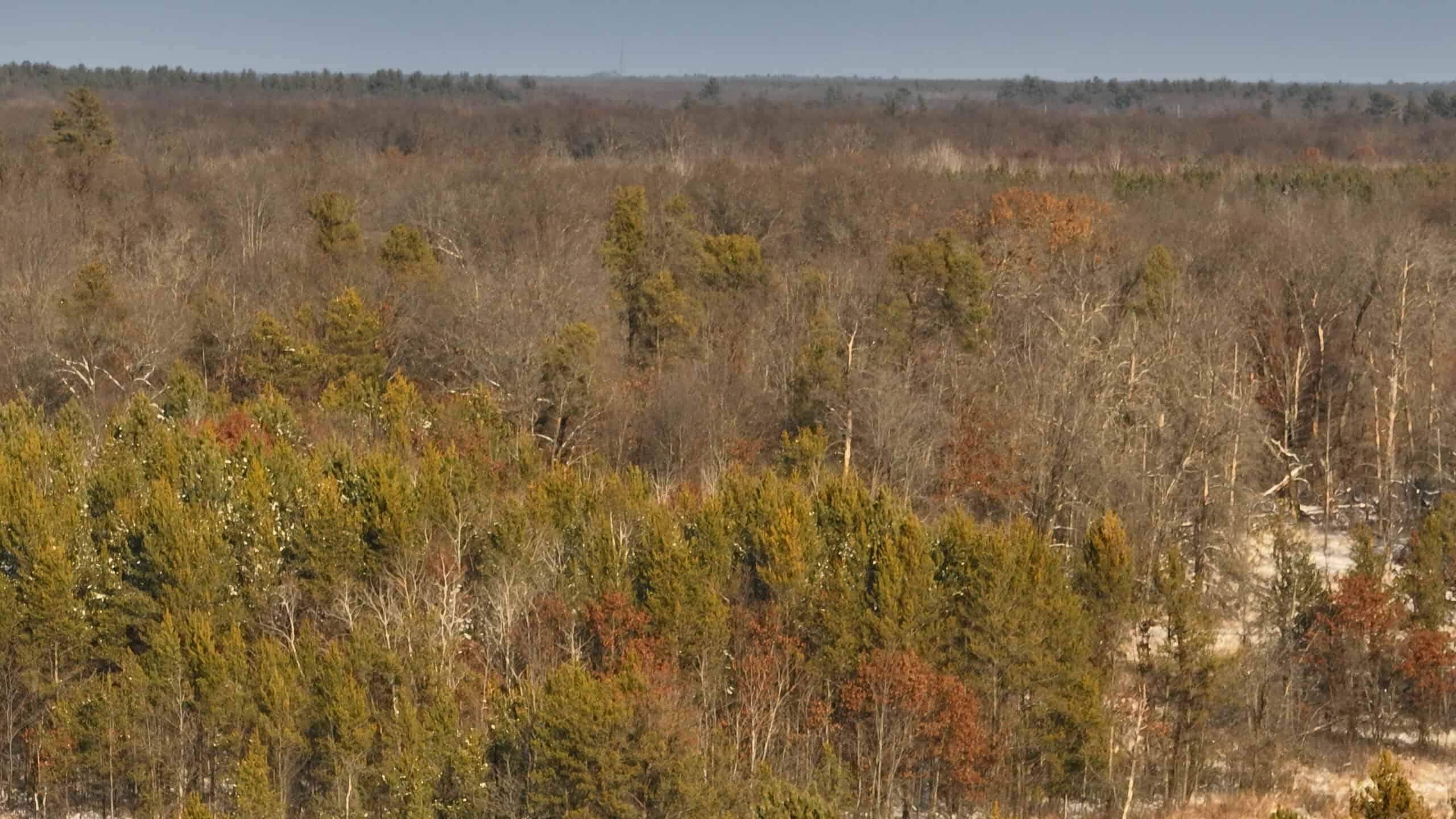 Whitetail Property for sale in Adams County, Wisconsin