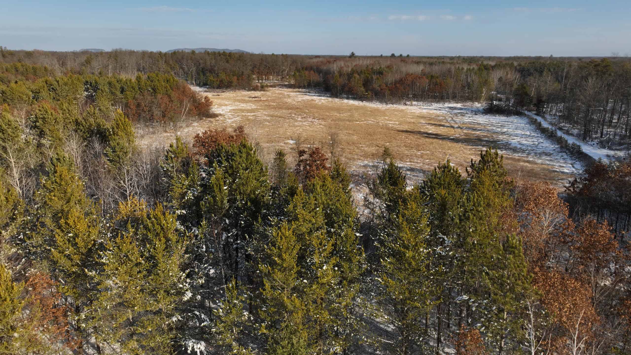 Hunting Land for Sale in South Central Wisconsin