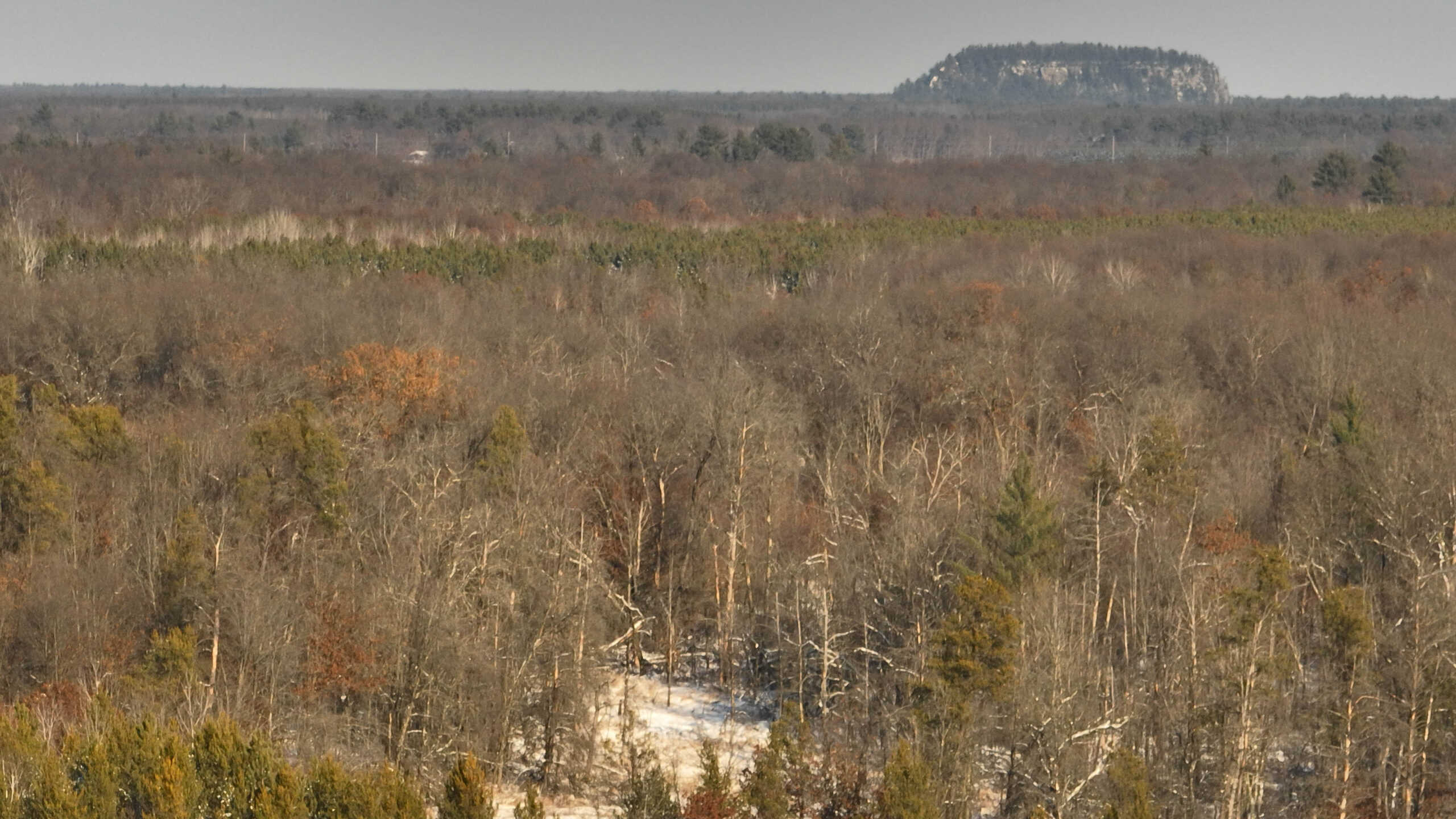 Whitetail Property for sale in Adams County, Wisconsin