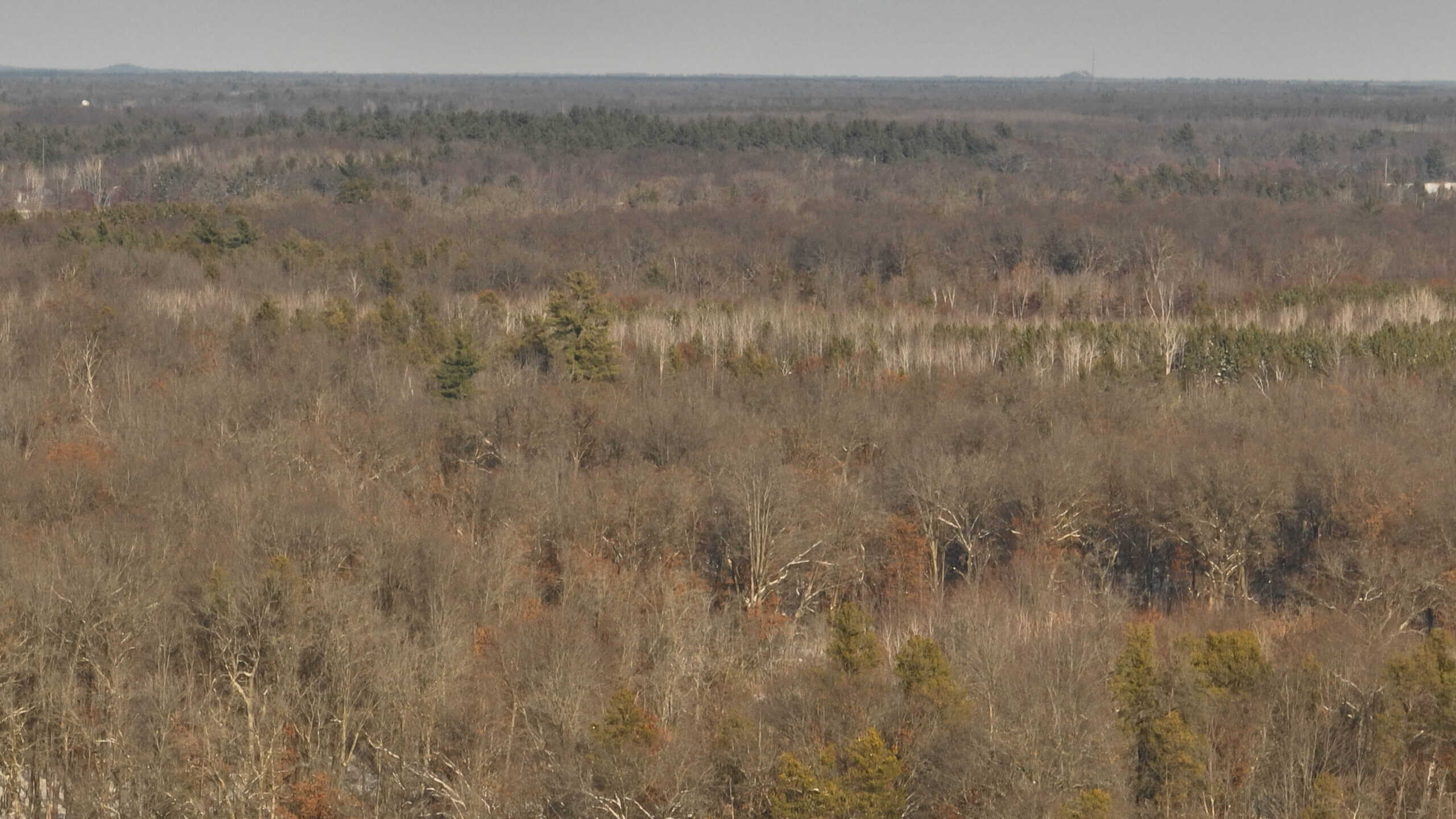 Whitetail Property for sale in Adams County, Wisconsin