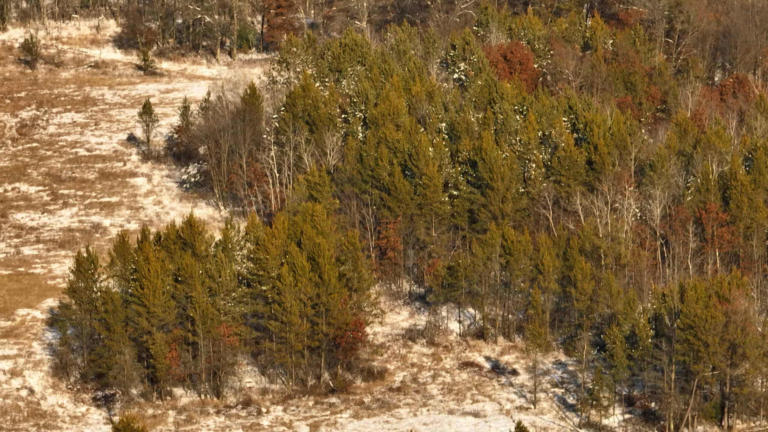 Whitetail Property for sale in Adams County, Wisconsin
