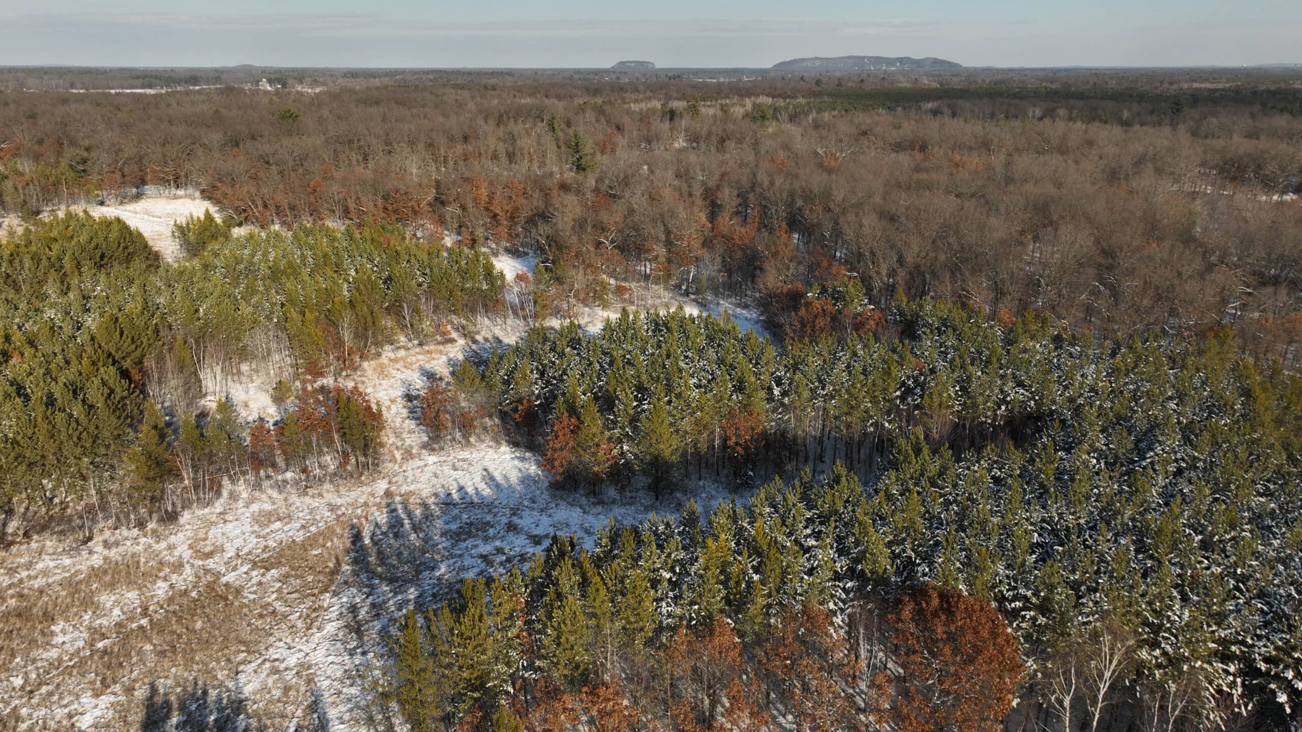 Whitetail Property for sale in Adams County, Wisconsin