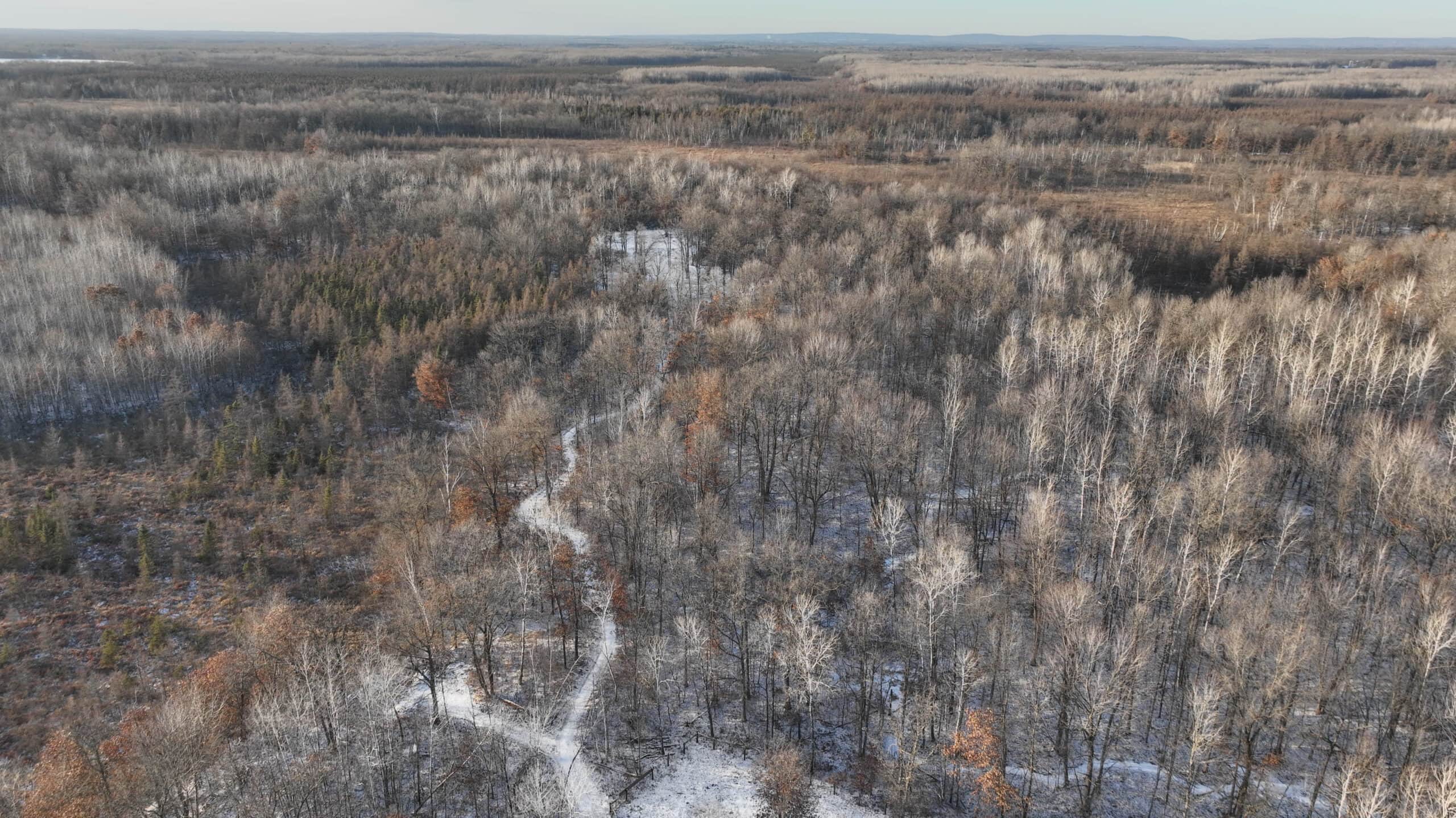 North Woods Hunting Camp for Sale in Rusk County, WI