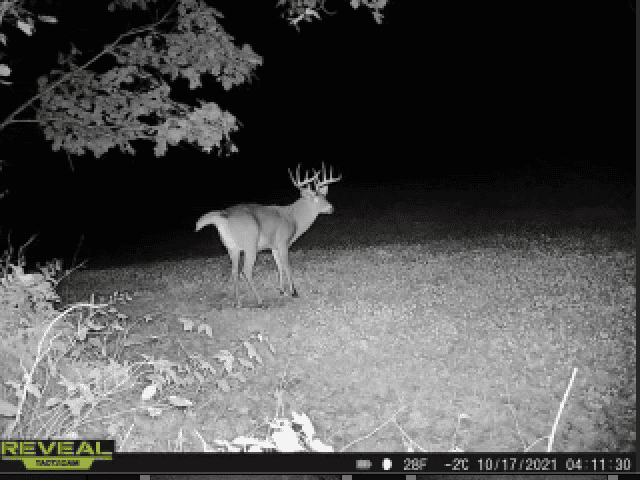 Charming Country Home with Trophy Whitetail Hunting in Juneau County, WI