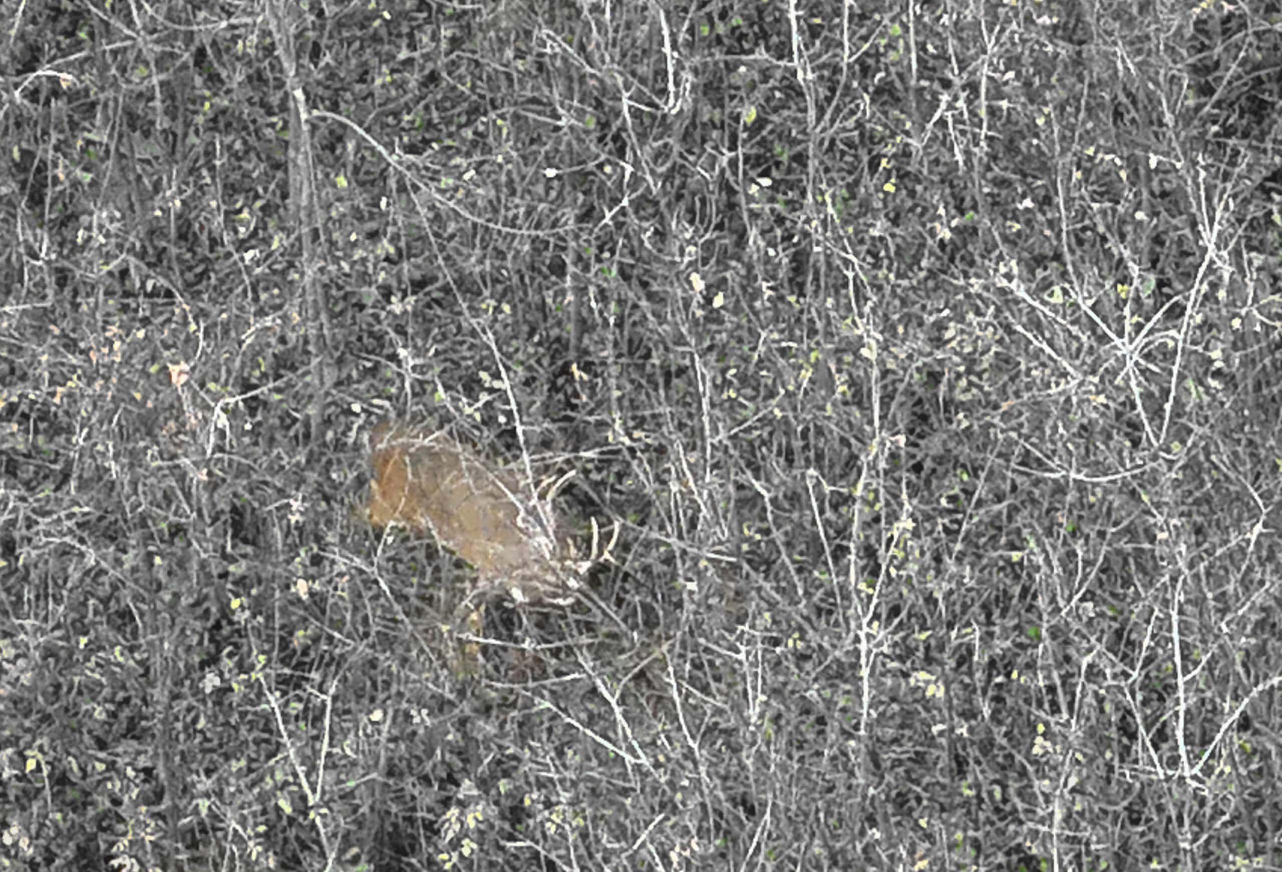 Hunting Camp for Sale in Southwest Wisconsin