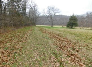 Creek Runs Through Farm Land/Deer Hunting Property in Newton County, Ar