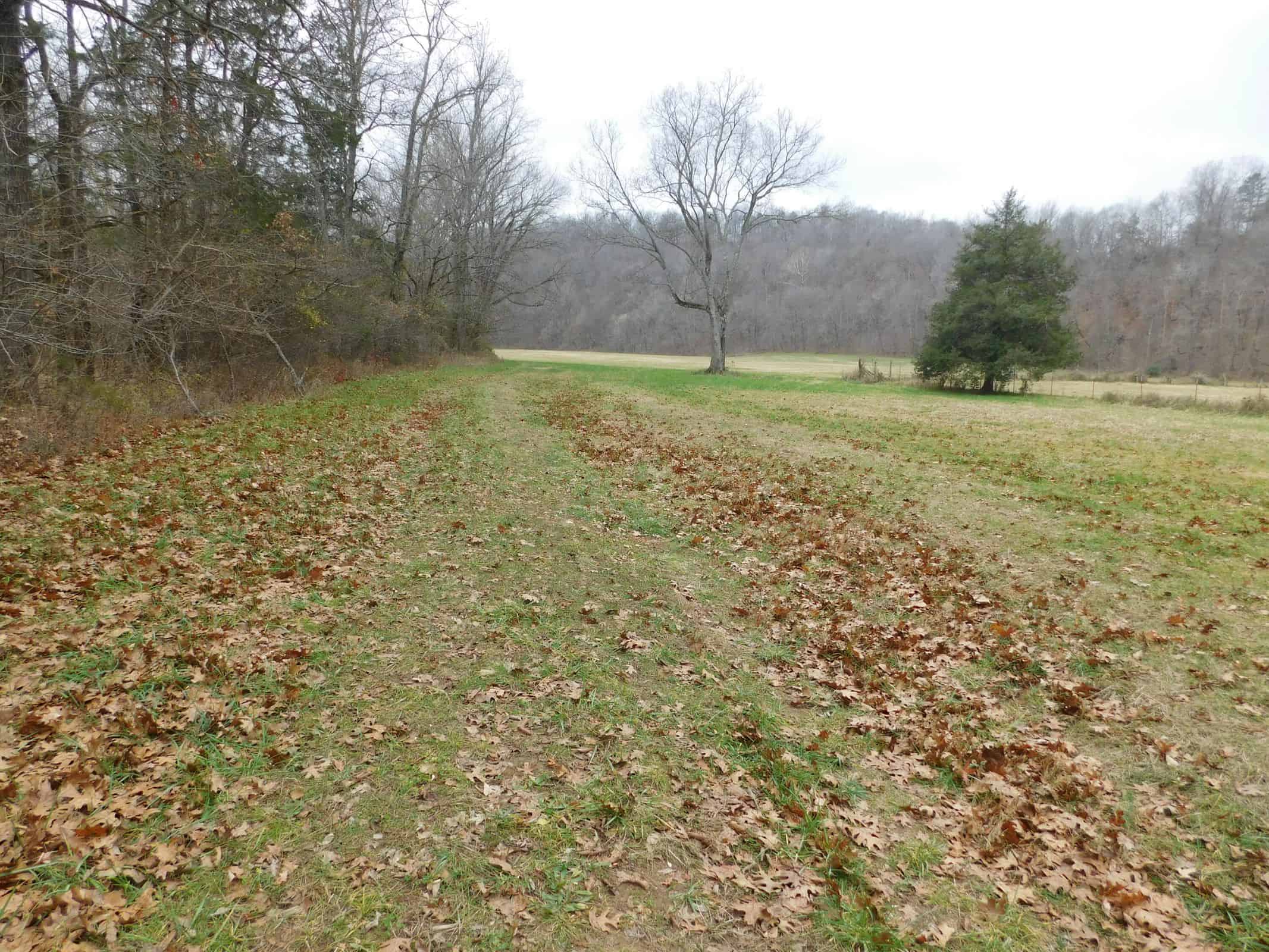 Creek Runs Through Farm Land/Deer Hunting Property in Newton County, Ar
