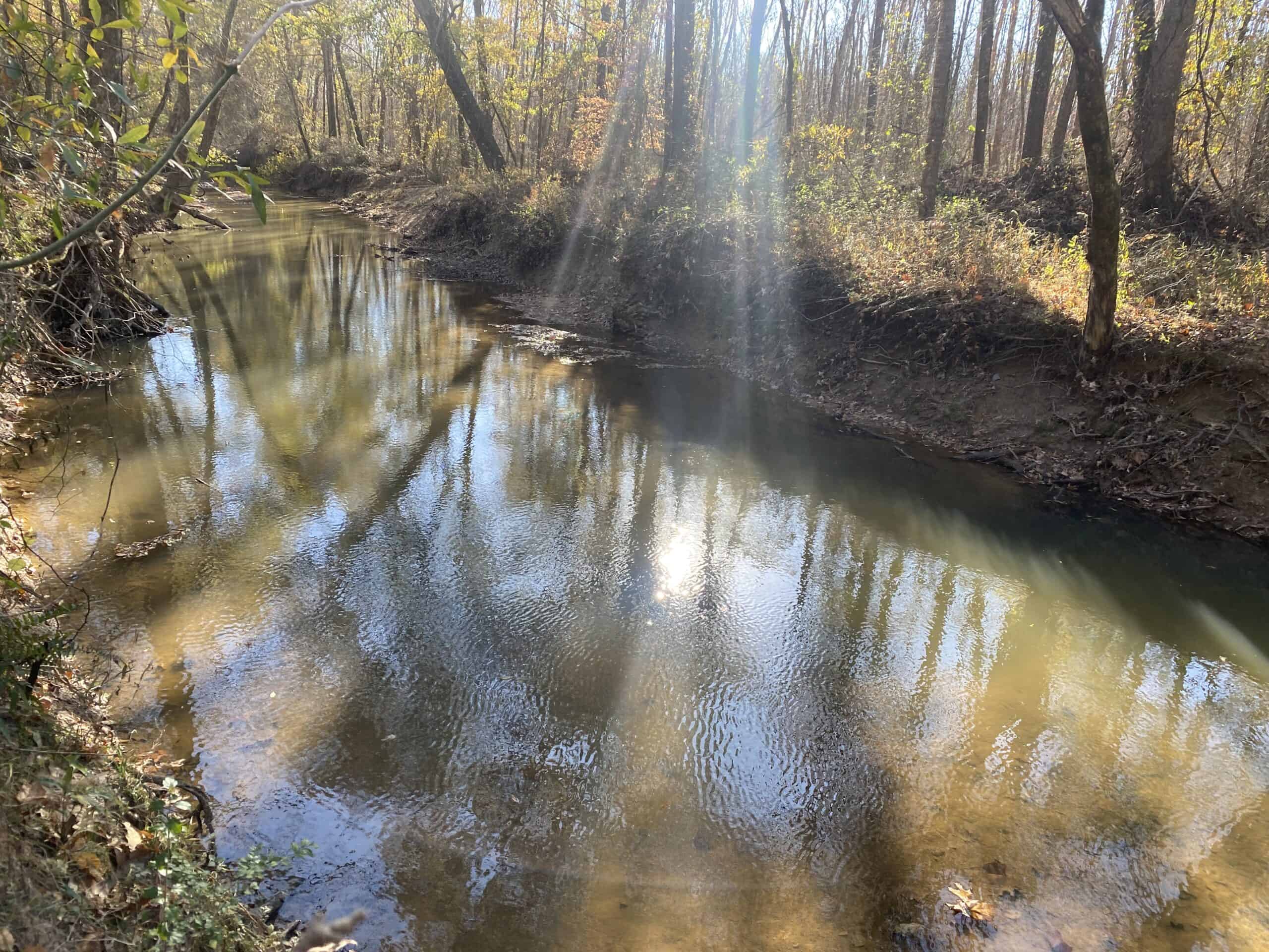 LAND FOR SALE IN TN, DEER & TURKEY HUNTING, BOTTOMLAND & UPLAND