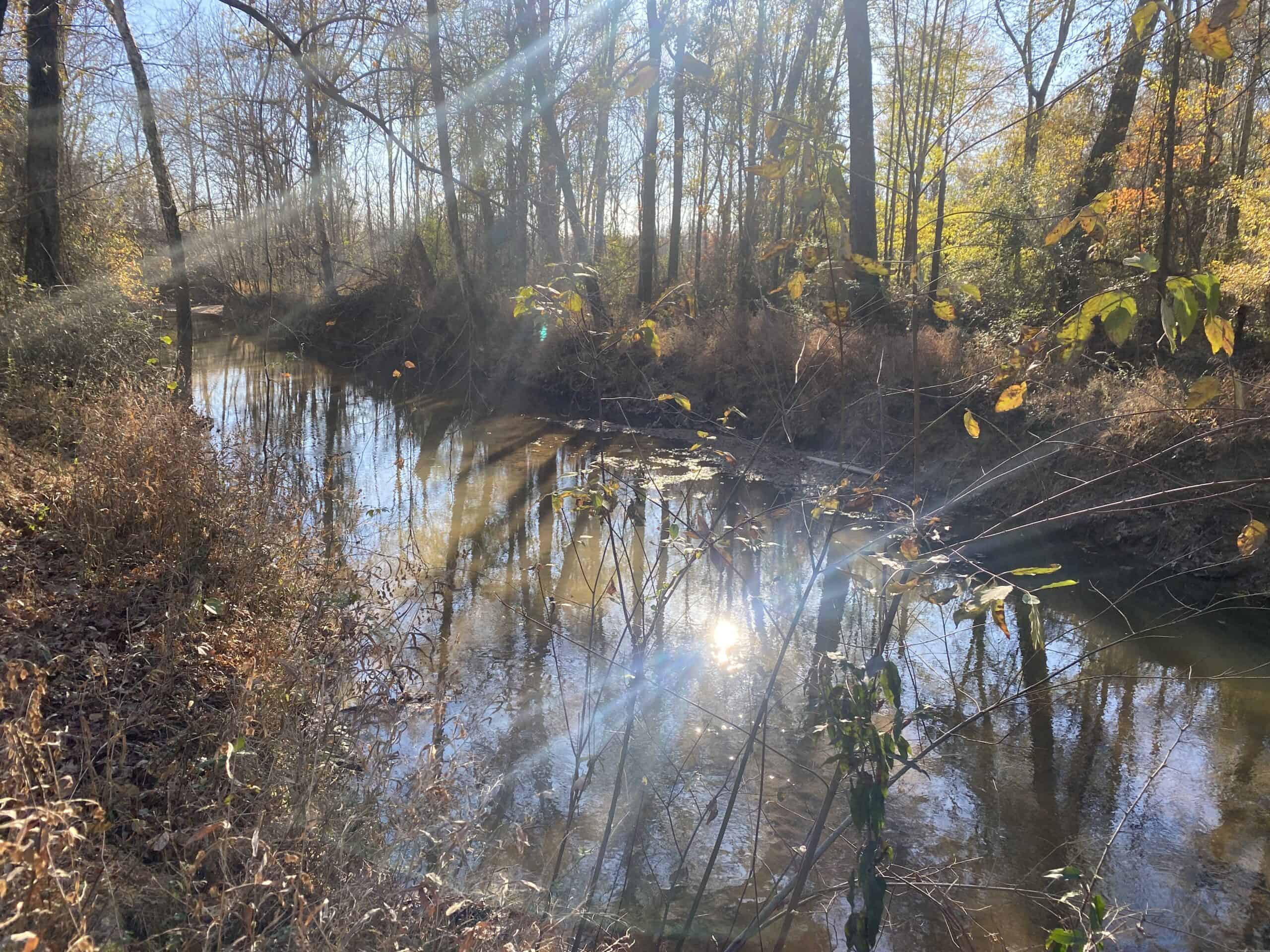 LAND FOR SALE IN TN, DEER & TURKEY HUNTING, BOTTOMLAND & UPLAND