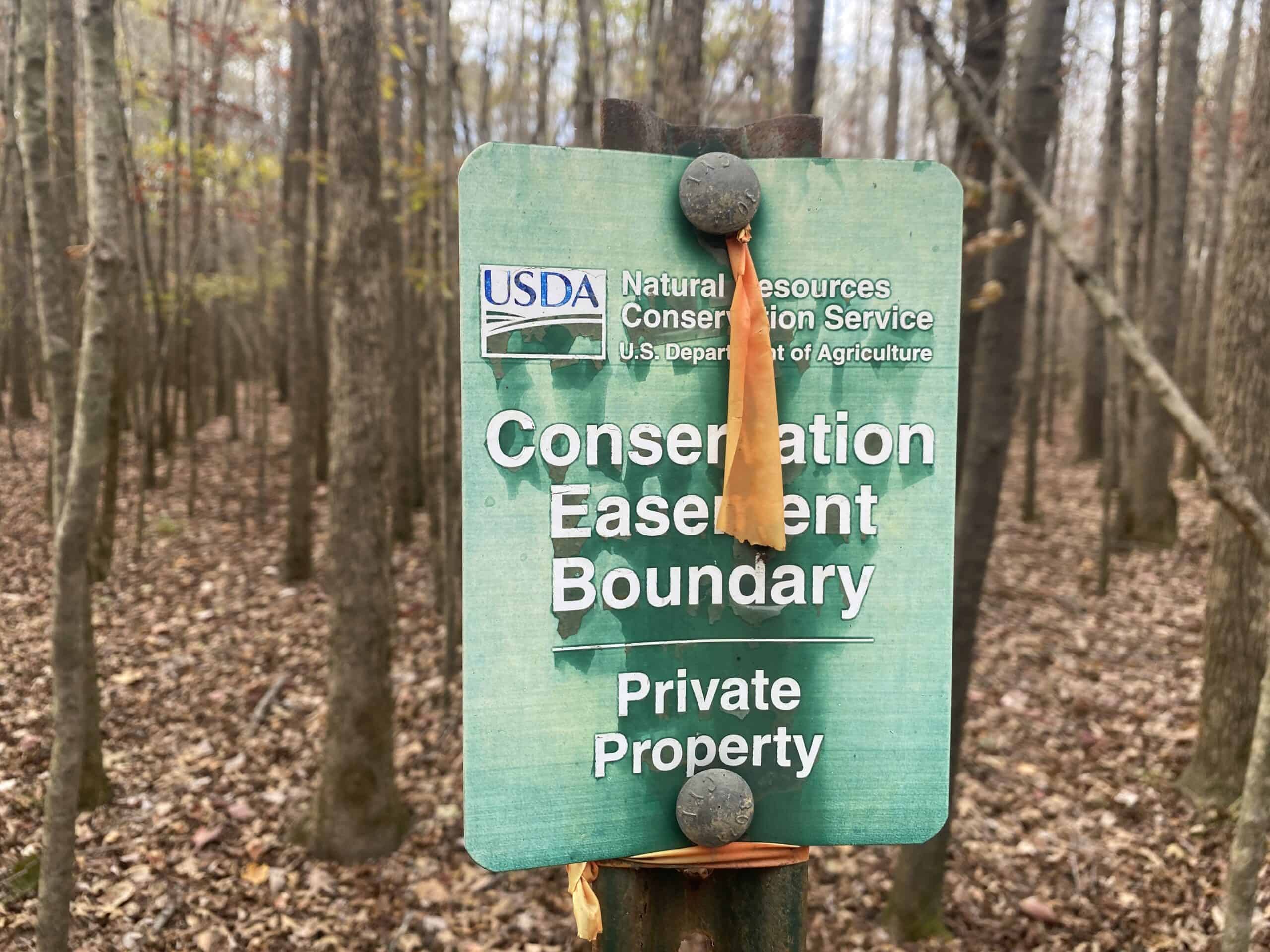LAND FOR SALE IN TN, DEER & TURKEY HUNTING, BOTTOMLAND & UPLAND